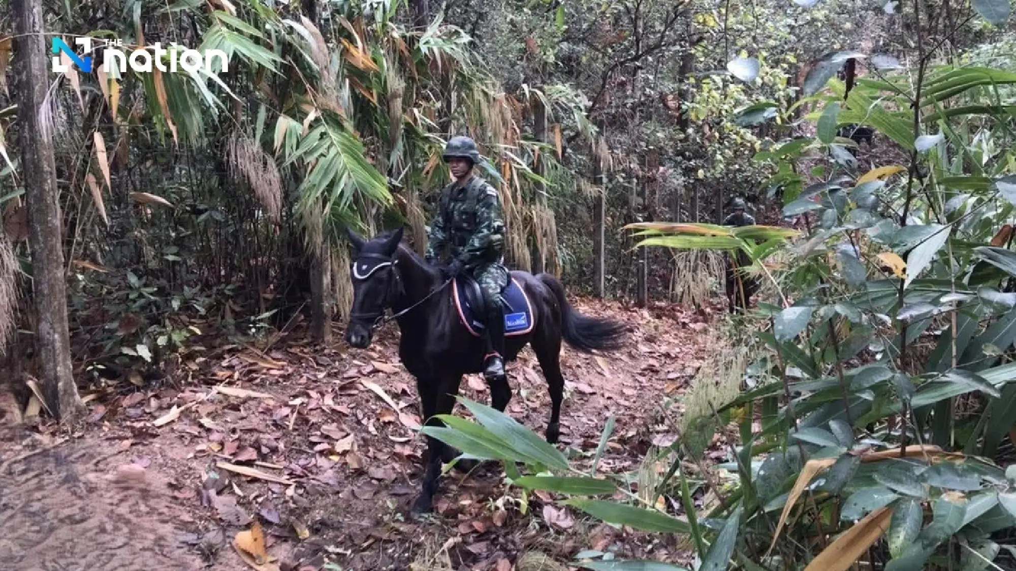 Thai army deploys horse patrols in Chiang Mai to combat wildfires and PM2.5