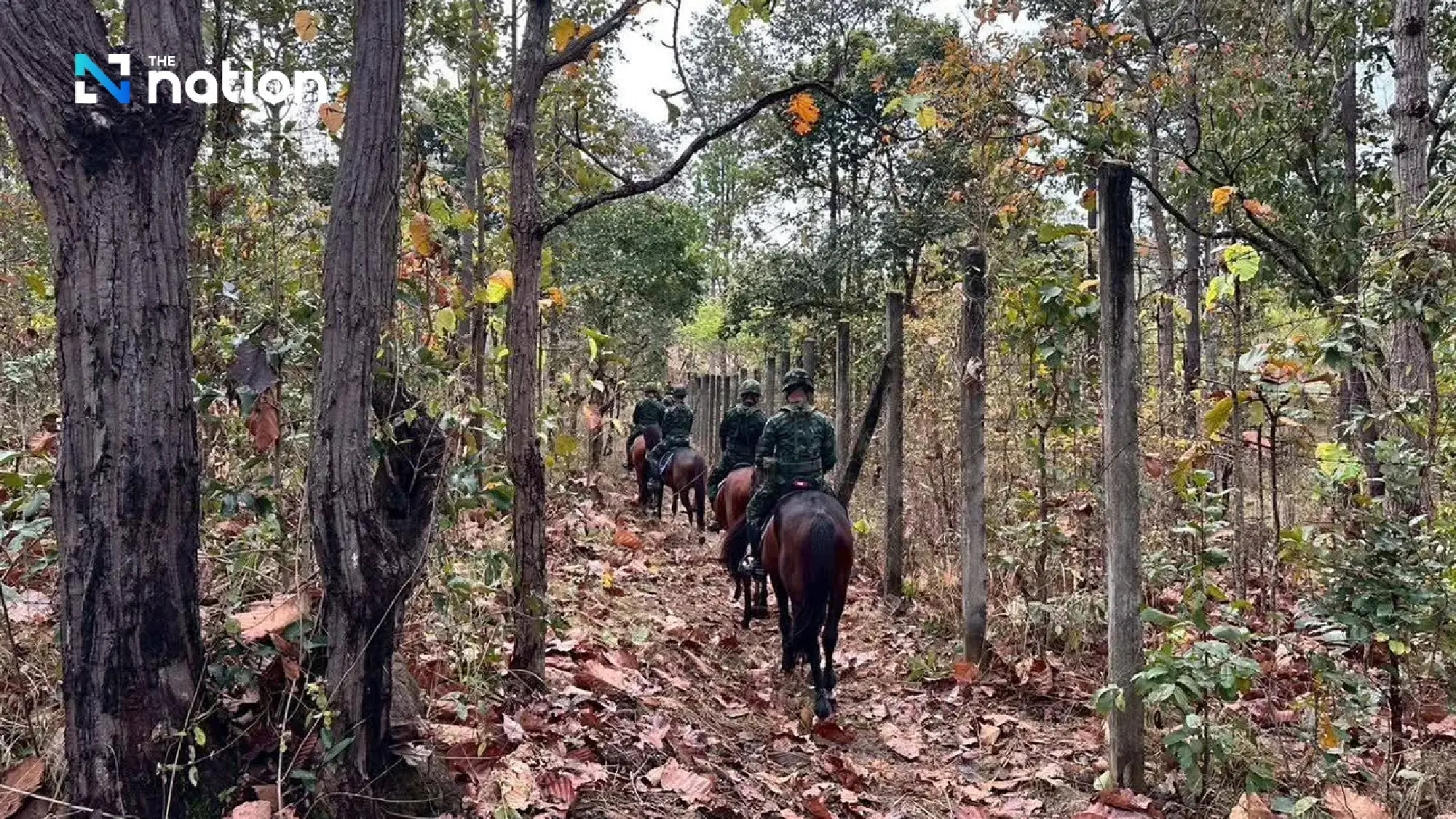 Thai army deploys horse patrols in Chiang Mai to combat wildfires and PM2.5