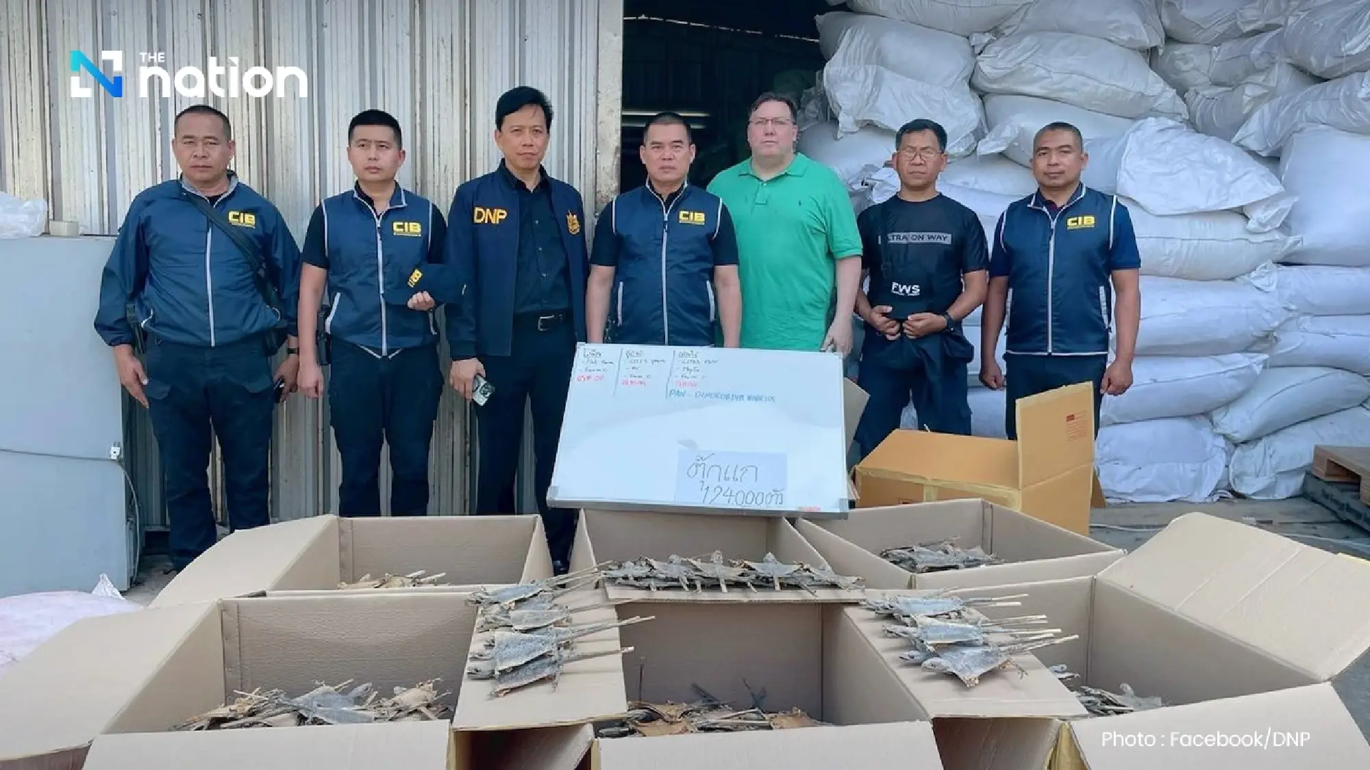 Officials seize 124,000 dried geckos in Pathum Thani warehouse raid