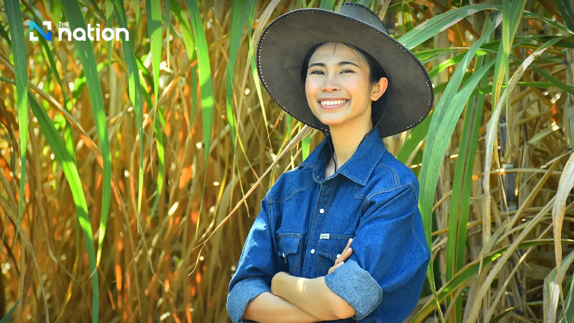 “Let’s Green the Sugarcane” campaign drives impact through fresh cane to mills