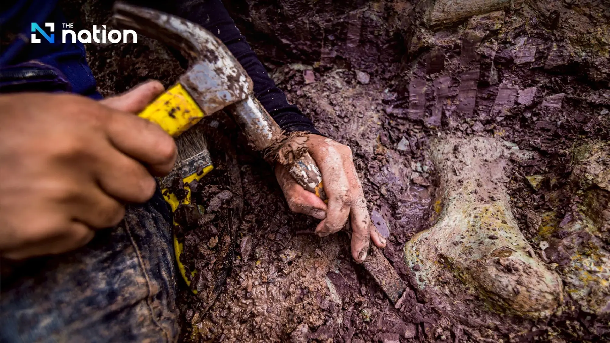 New Dinosaur Species Found in Brazil Reveals Ancient Land Bridge to Europe