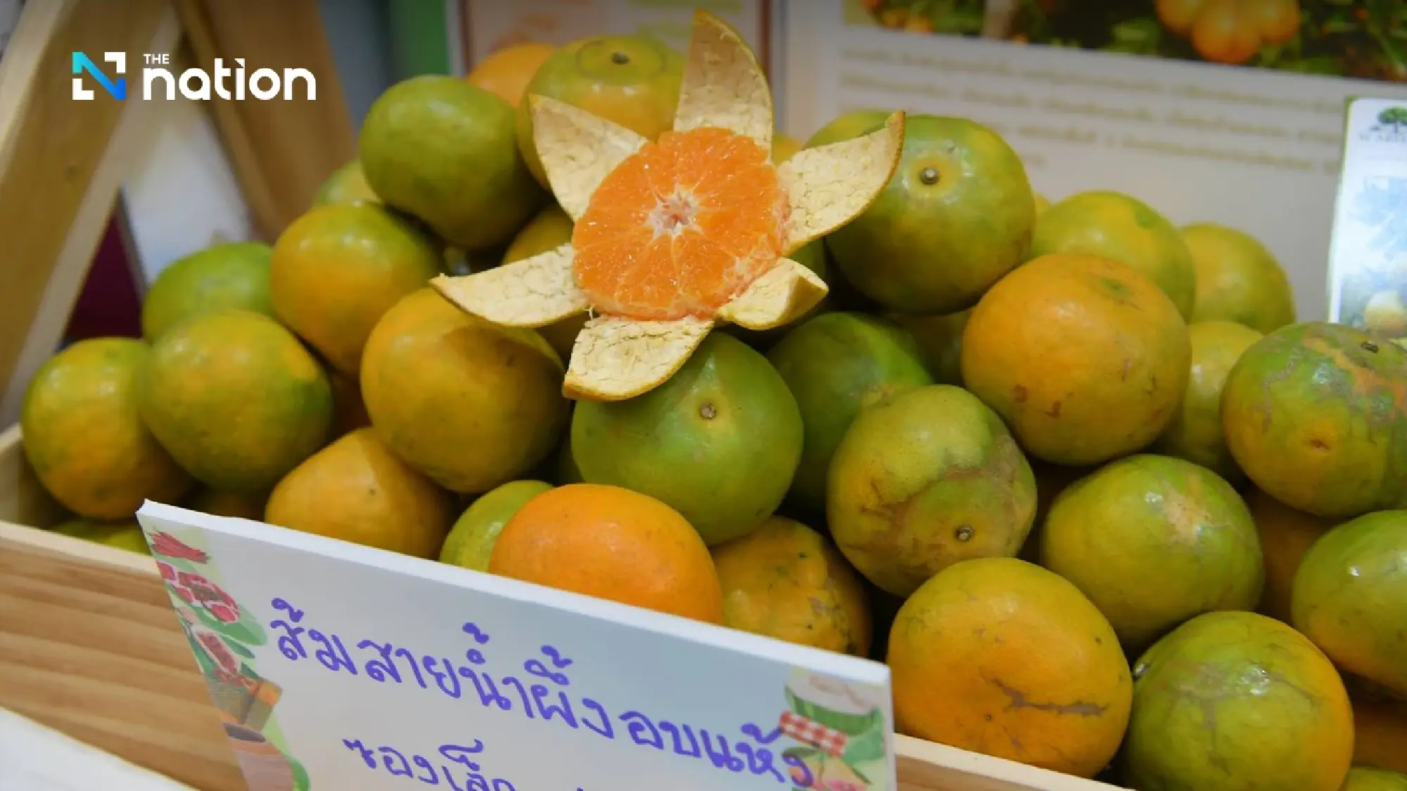 DIP brings premium Thai GI goods to Central Pinklao at GI Market 2026