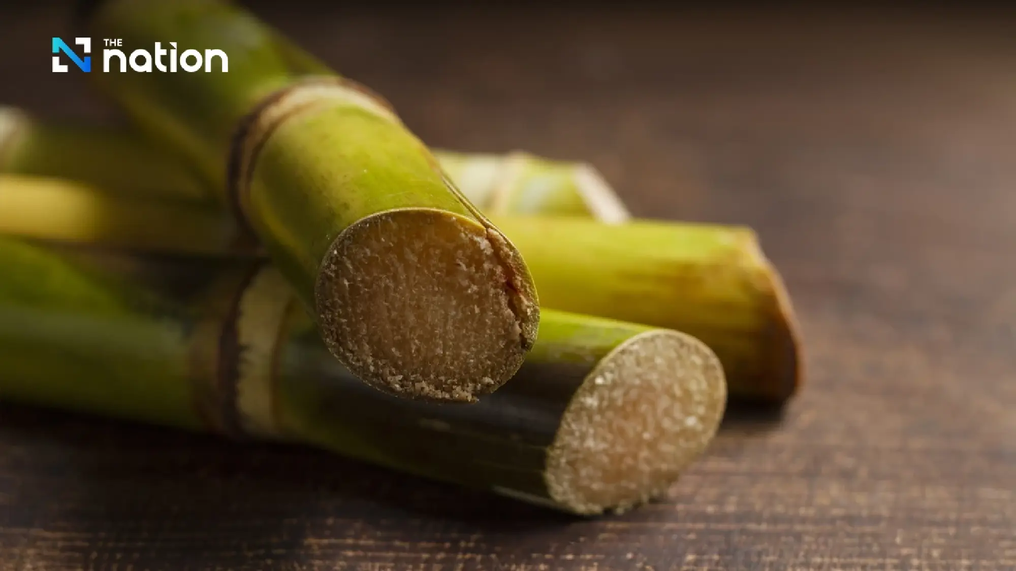 Thai Sugar Industry Calls for E20 Transition to Bolster Energy Security and Net Zero Goals