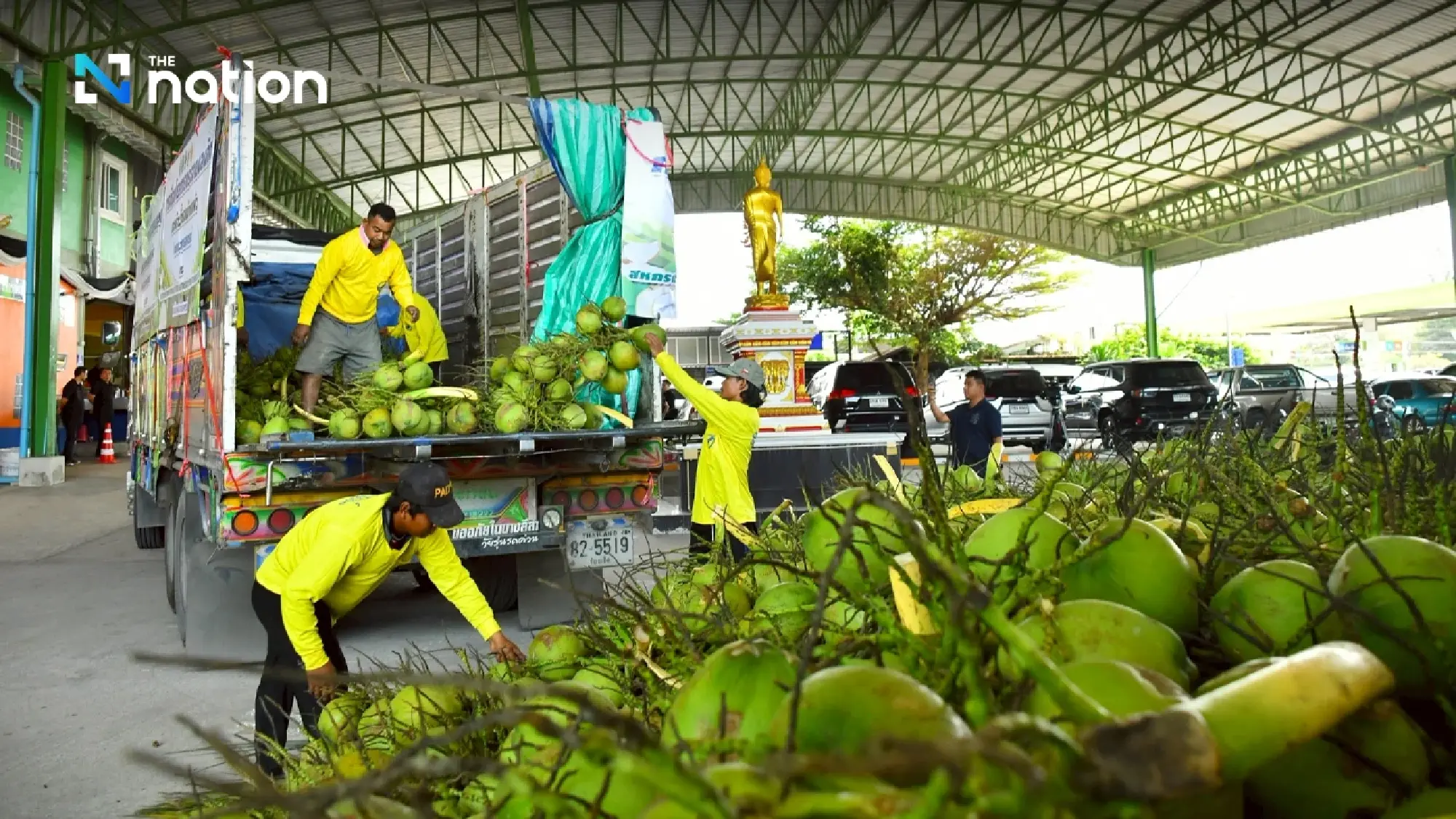 Cooperative Promotion Department pushes central hub to curb unfair pricing