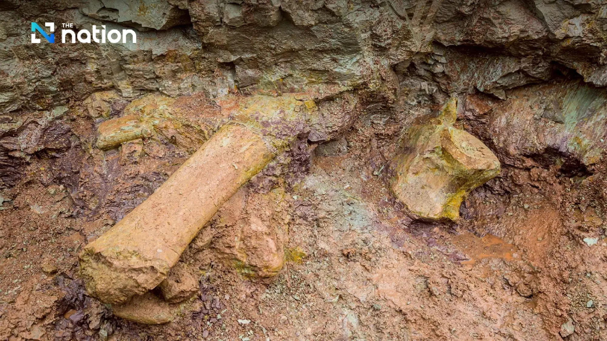 New Dinosaur Species Found in Brazil Reveals Ancient Land Bridge to Europe