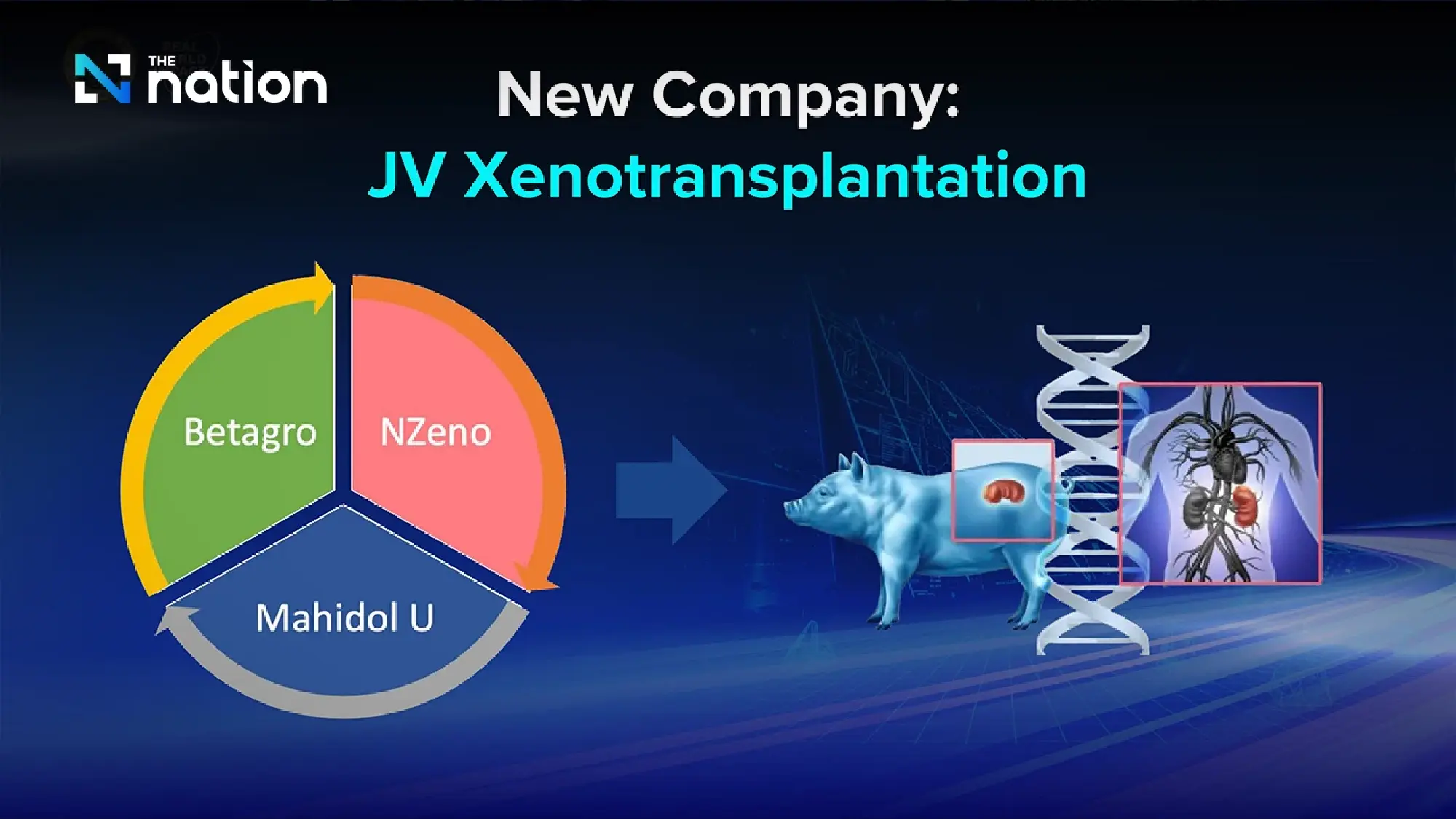 Mahidol Turns Research Into Thailand's Economic Medicine
