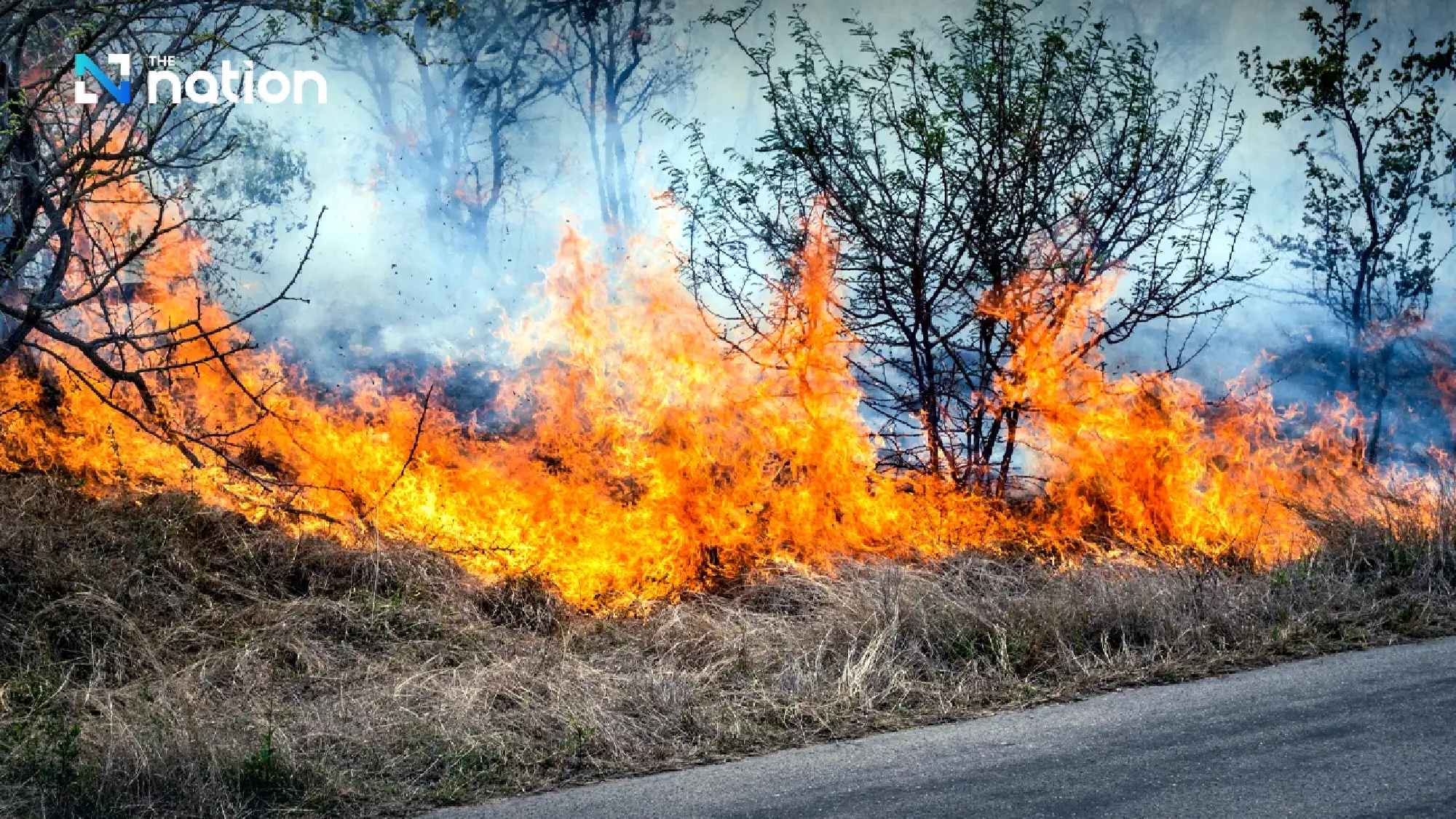 Thailand to use ASEAN channel to press neighbours to curb burning