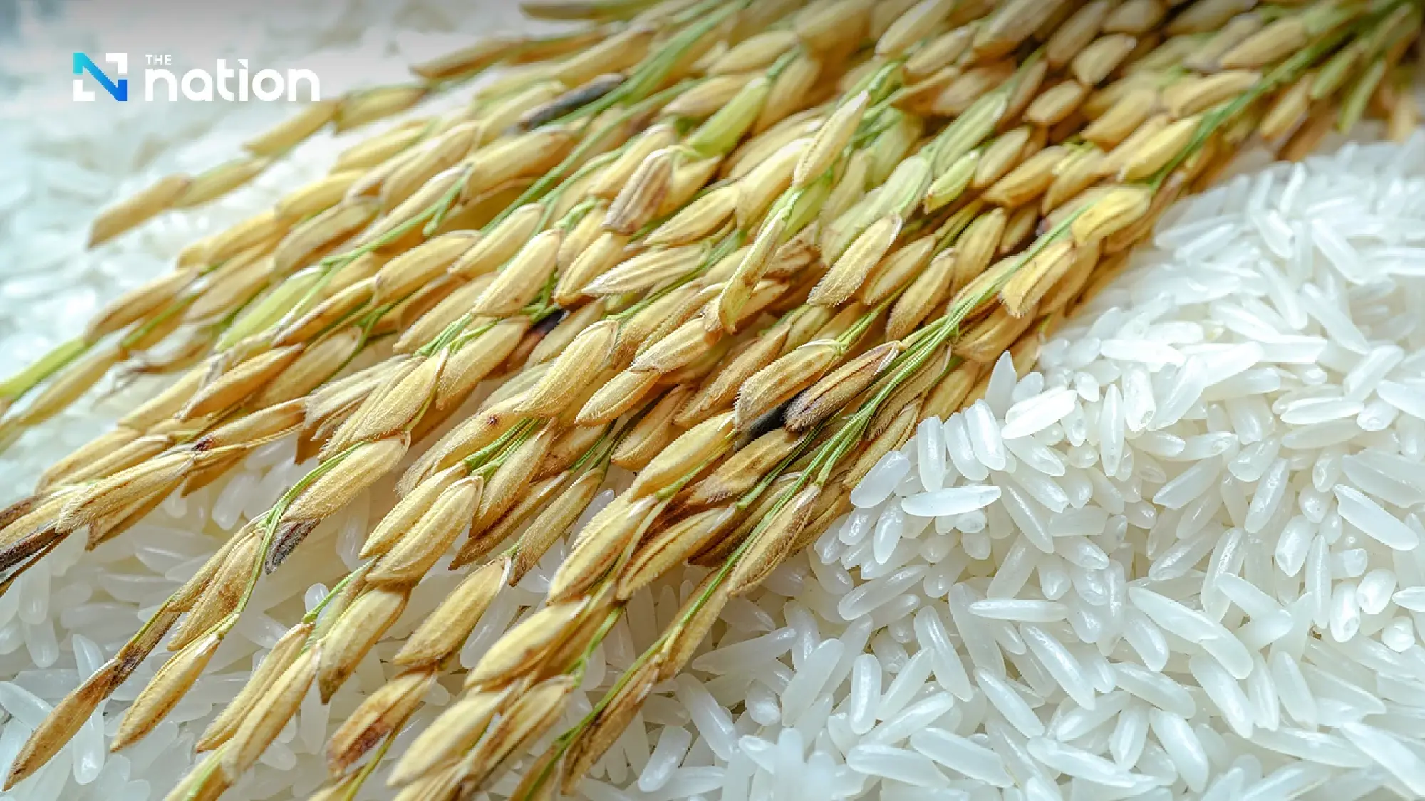 Middle East conflict threatens Thailand's rice export target