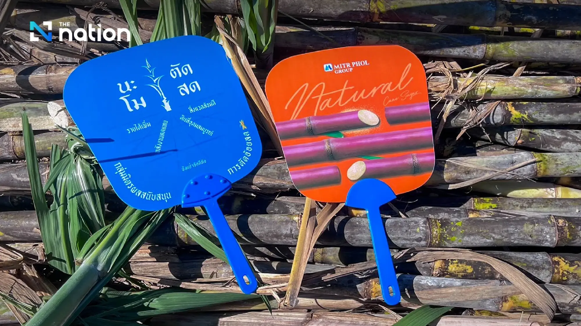 “Let’s Green the Sugarcane” campaign drives impact through fresh cane to mills