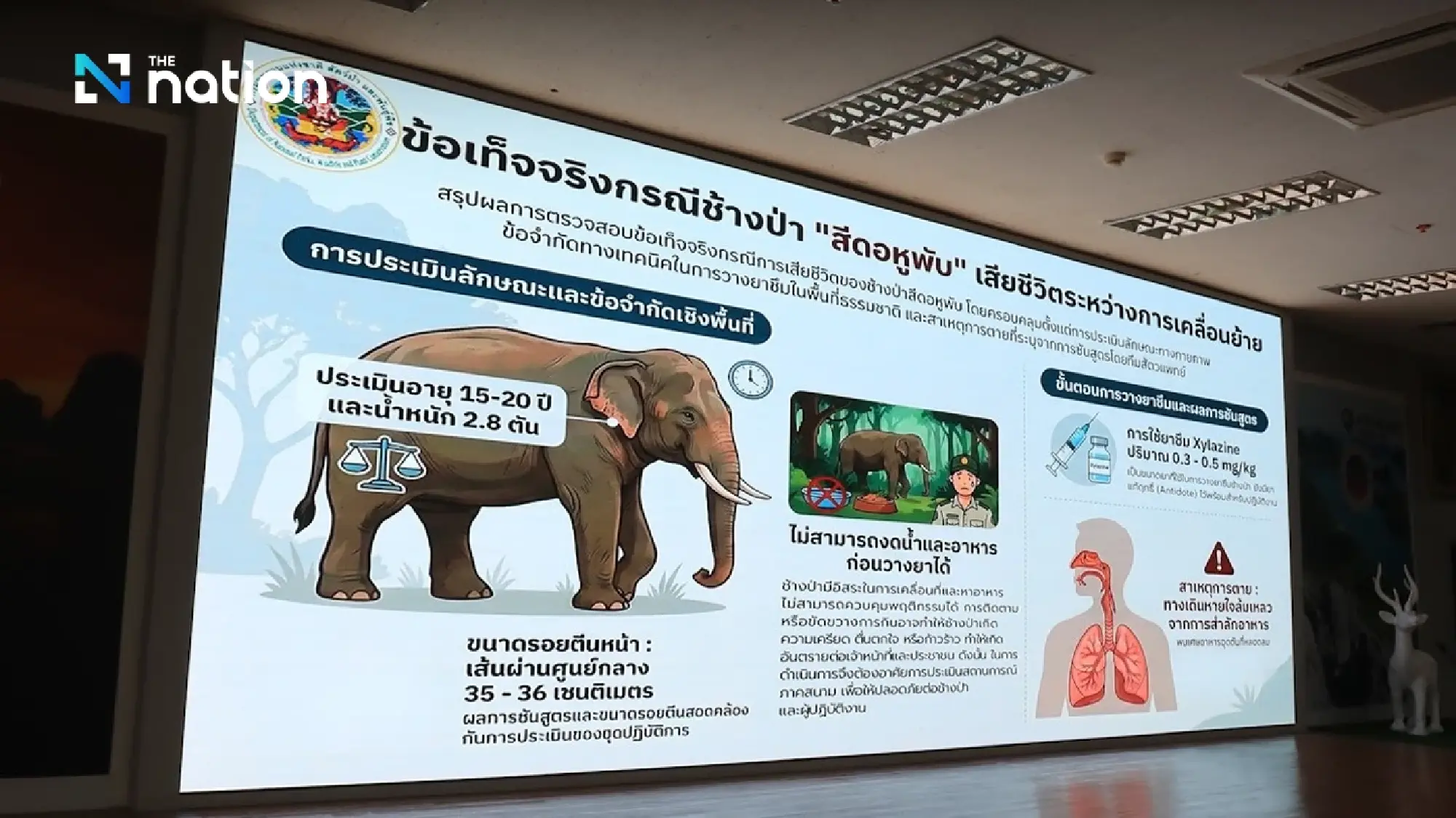 Probe finds wild elephant died from aspiration, not official negligence