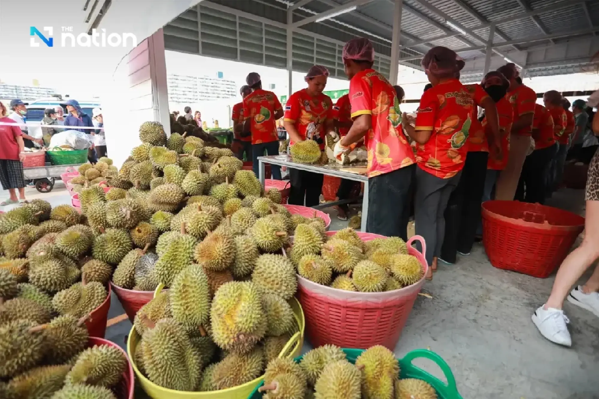 Fresh durian exports jump 67% as Thailand tightens China checks
