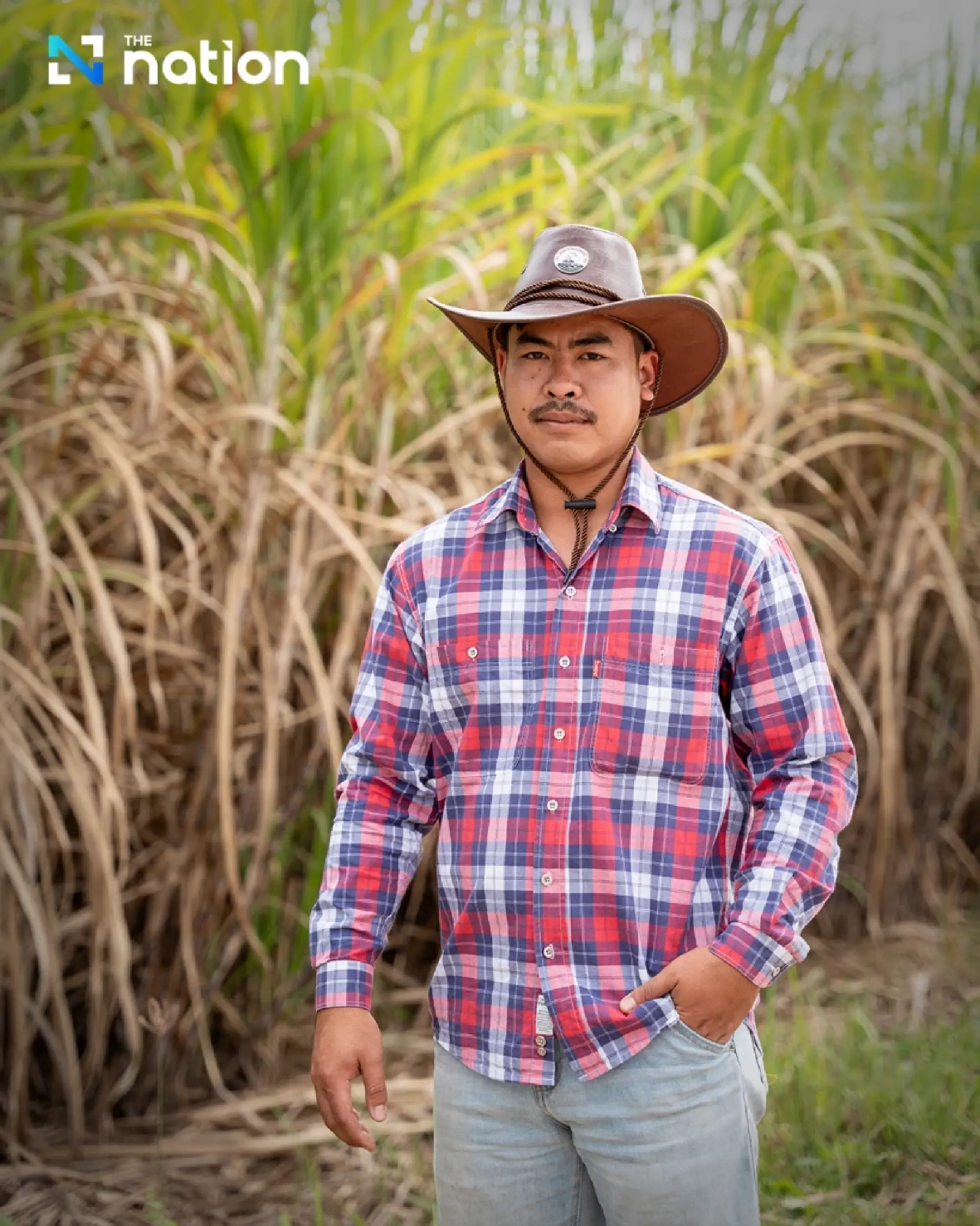 “Let’s Green the Sugarcane” campaign drives impact through fresh cane to mills