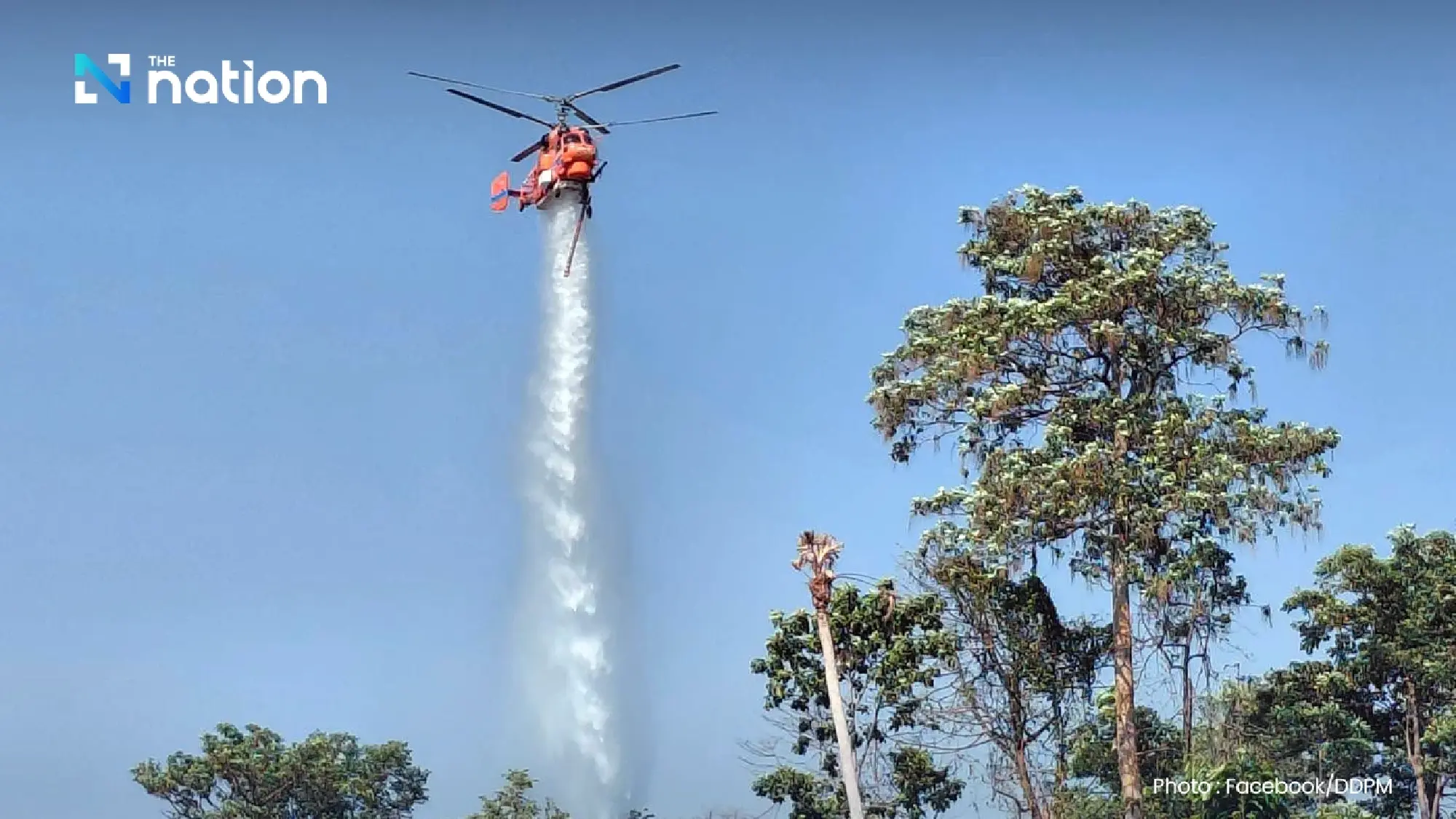 Govt orders nationwide forest lockdown to fight wildfires and PM2.5