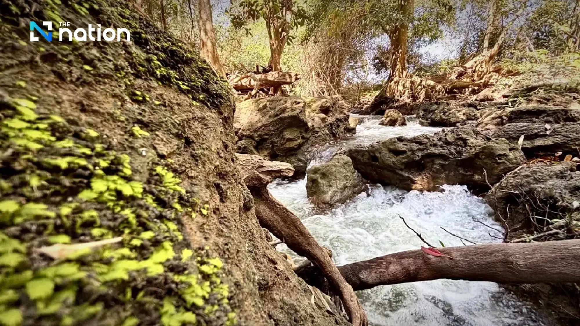 Cool Waters and Ancient Roots: Discover the ‘Unseen’ Beauty of Loei’s Tha Sawan Waterfall