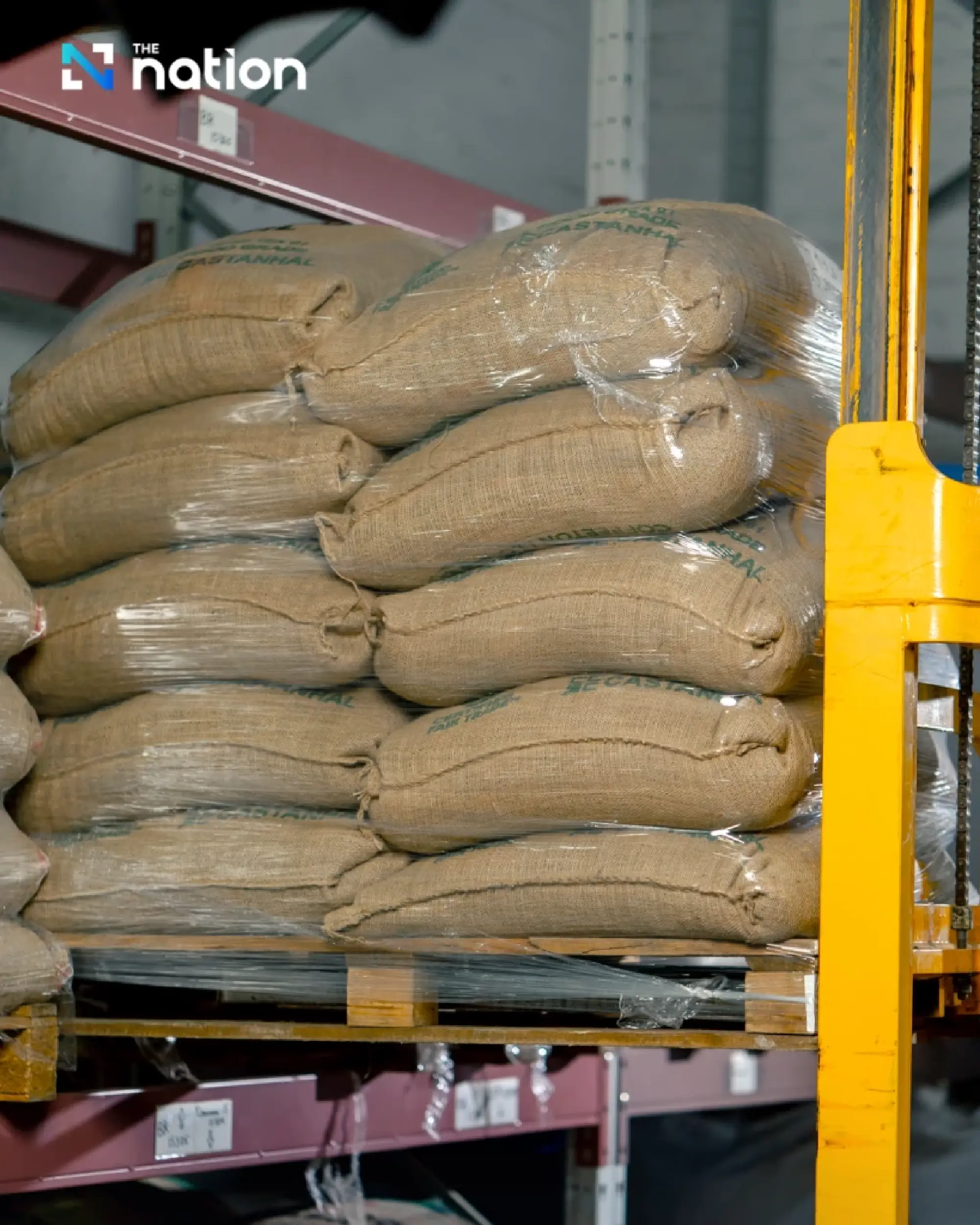 Thai farm incomes face pressure from global rice market shifts