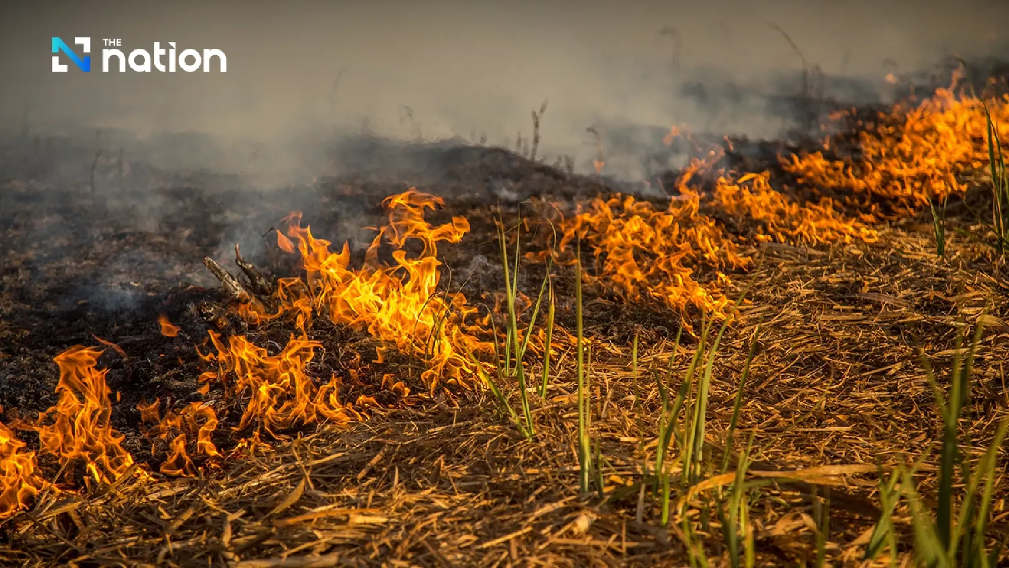 Suriya warns farm burners of legal action, aid ban