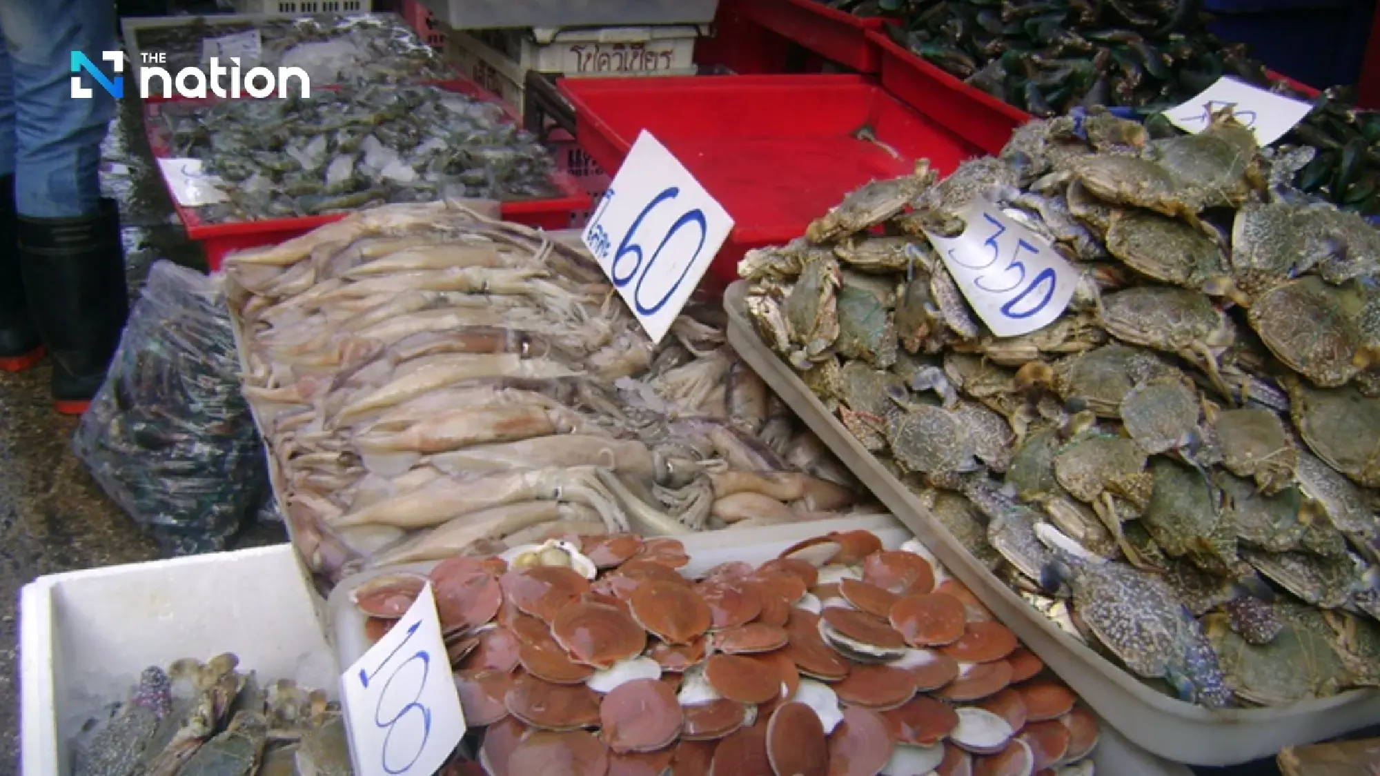 ASEAN fishing crisis: fish stocks down up to 95% as overfishing and illegal catch outpace recovery