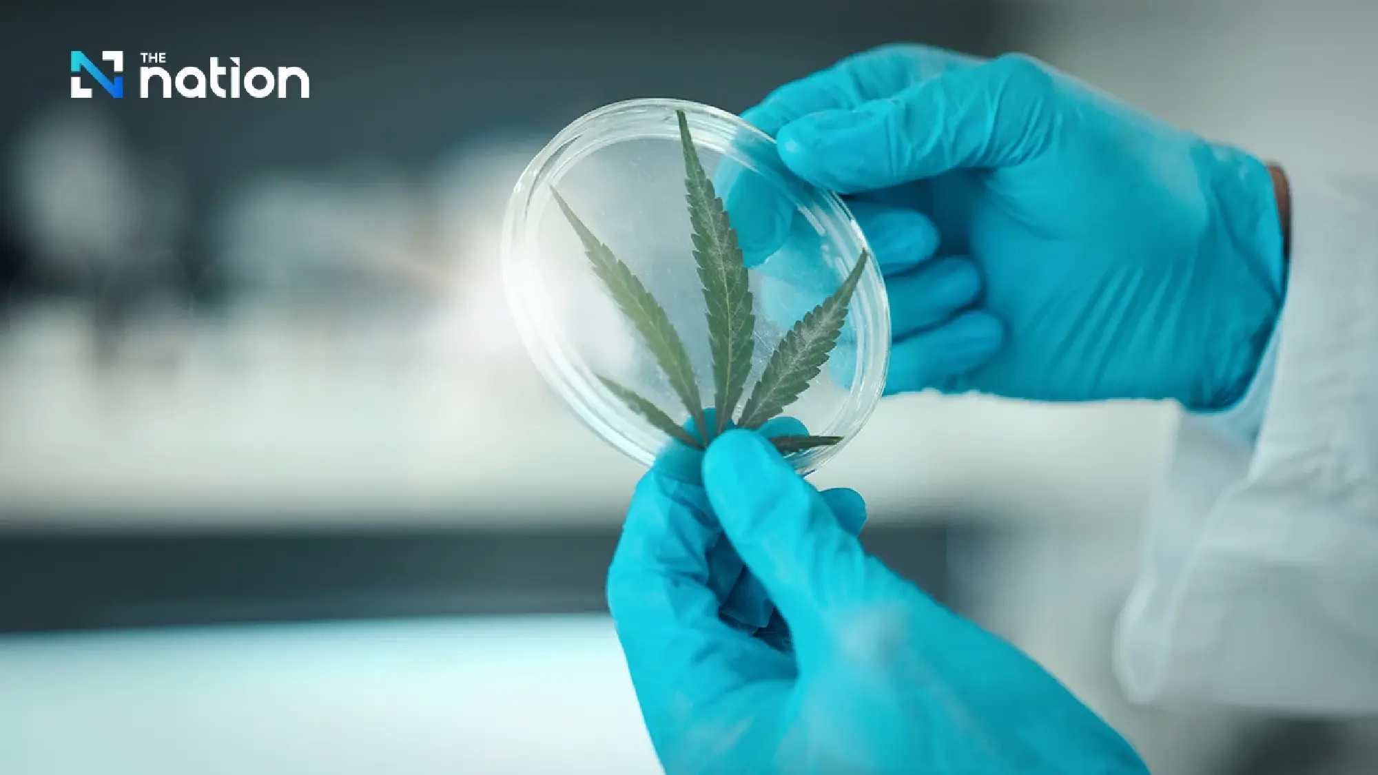 New cannabis-hemp extract rules take effect, limiting use to four purposes