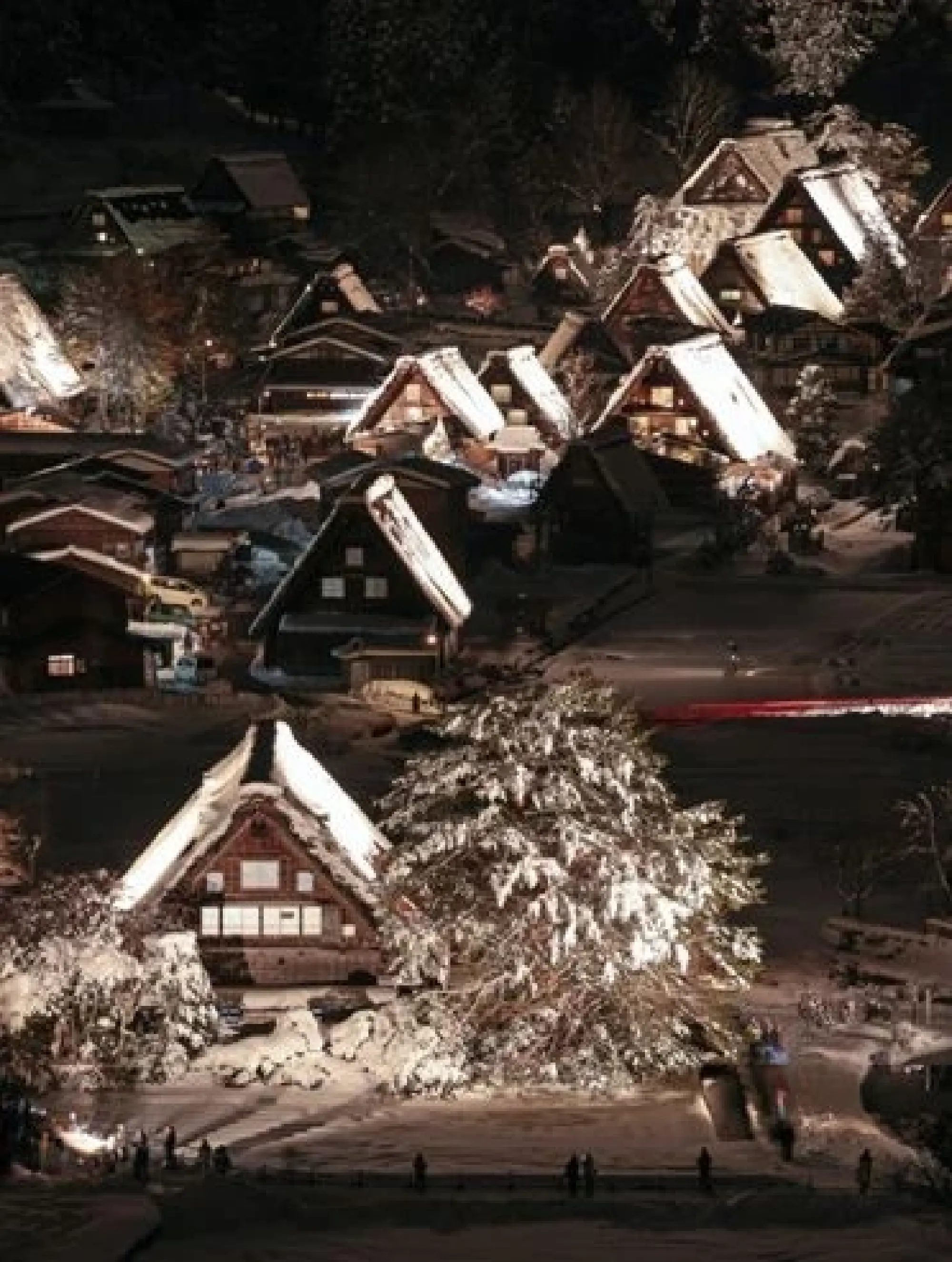 Rising Interest in Japan’s Traditional Culture and the Four Seasons