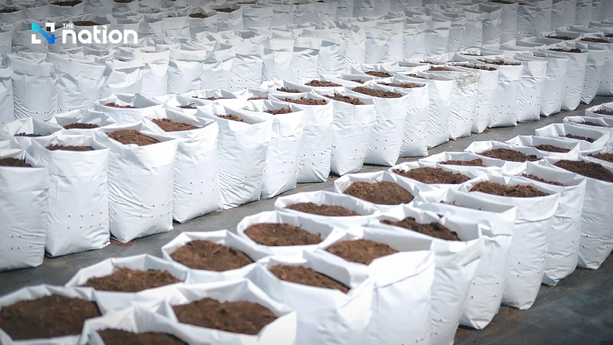 Agriculture Minister Targets Russian Fertiliser Import to Ease Farm Costs