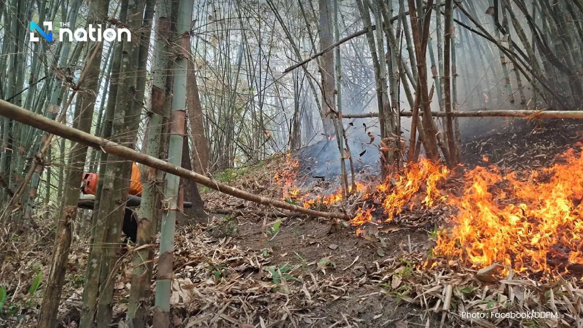 Northern wildfire surge pushes Thailand hotspots to 2026 high