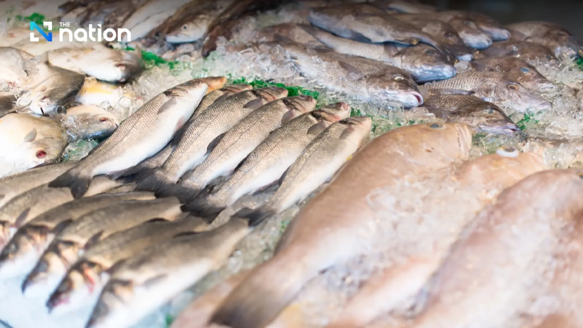 Fuel costs may ground 70% of Thai fishing boats after Songkran