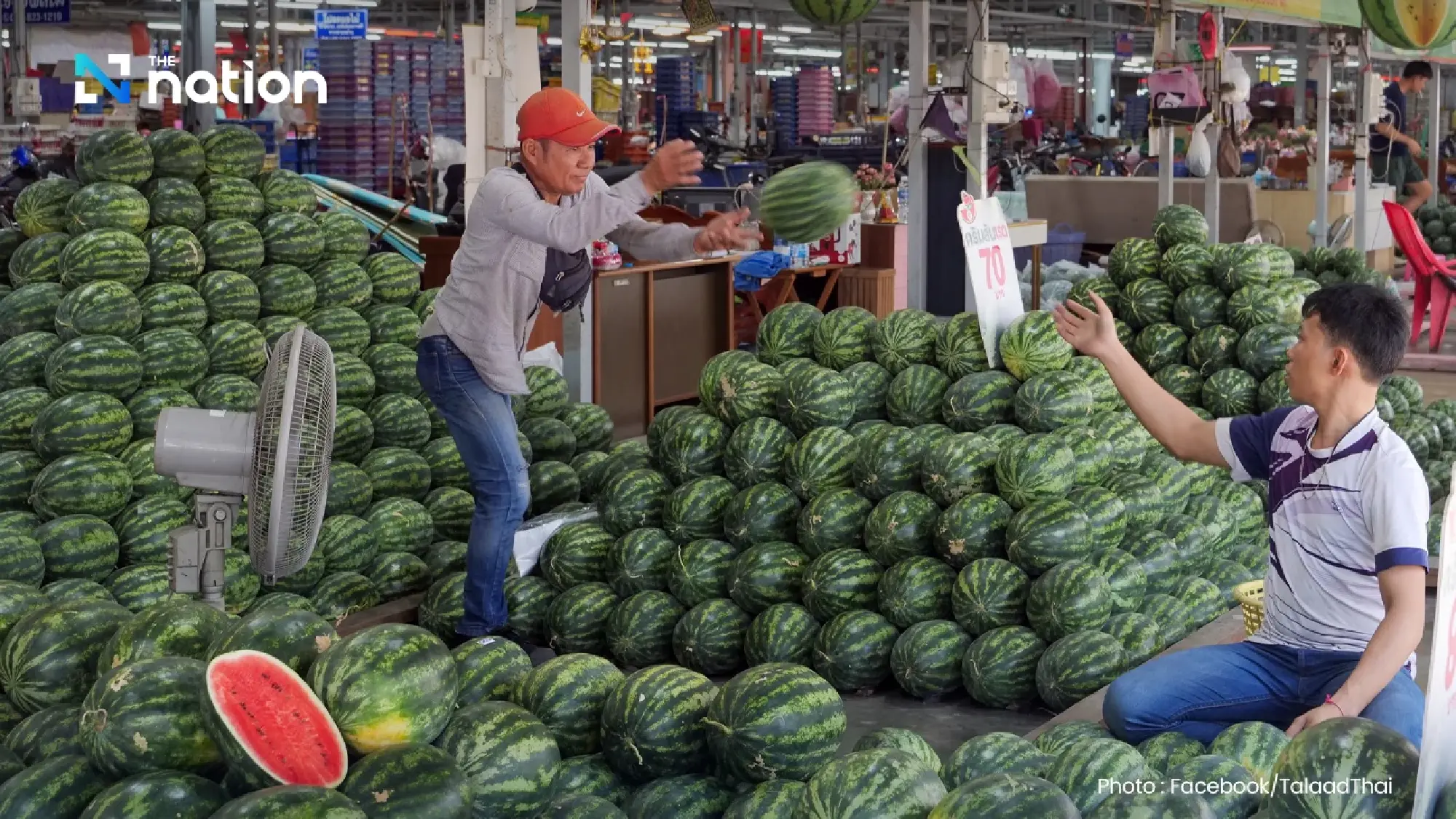 Thailand’s Durian Drama: Can the State Save the King of Fruit?
