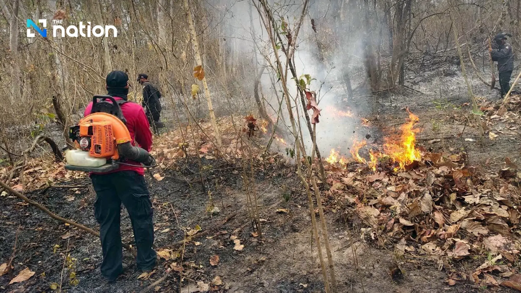 Thailand’s PCD orders burn ban in 17 northern provinces over PM2.5