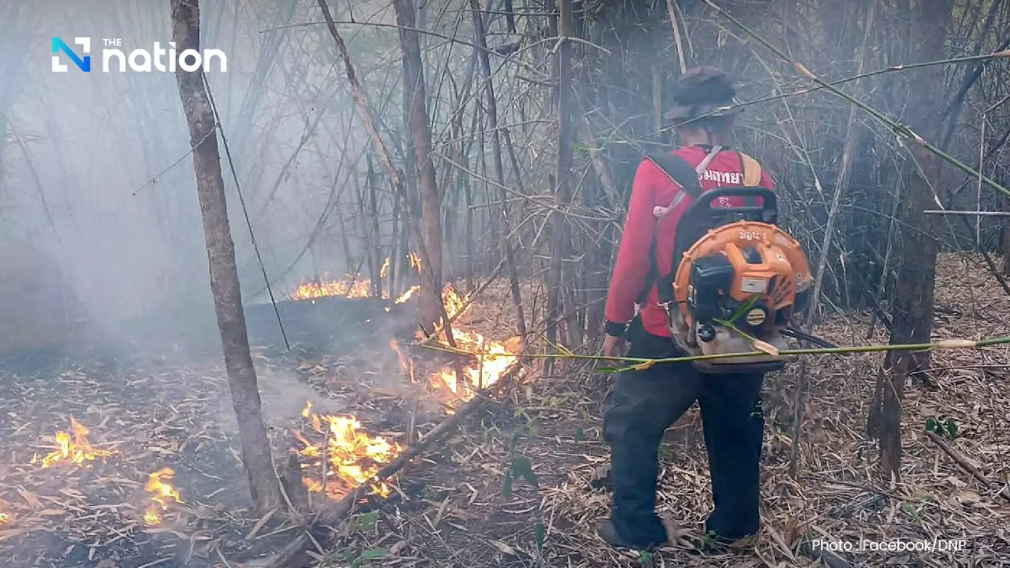 Govt orders nationwide forest lockdown to fight wildfires and PM2.5