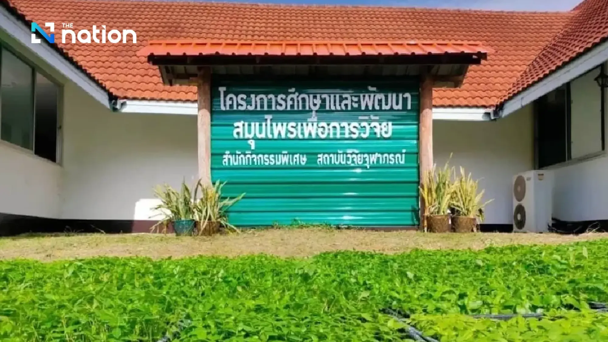 Scientific Breakthrough: Chulabhorn Research Institute Unveils World-First Water-Based Herbal Extract