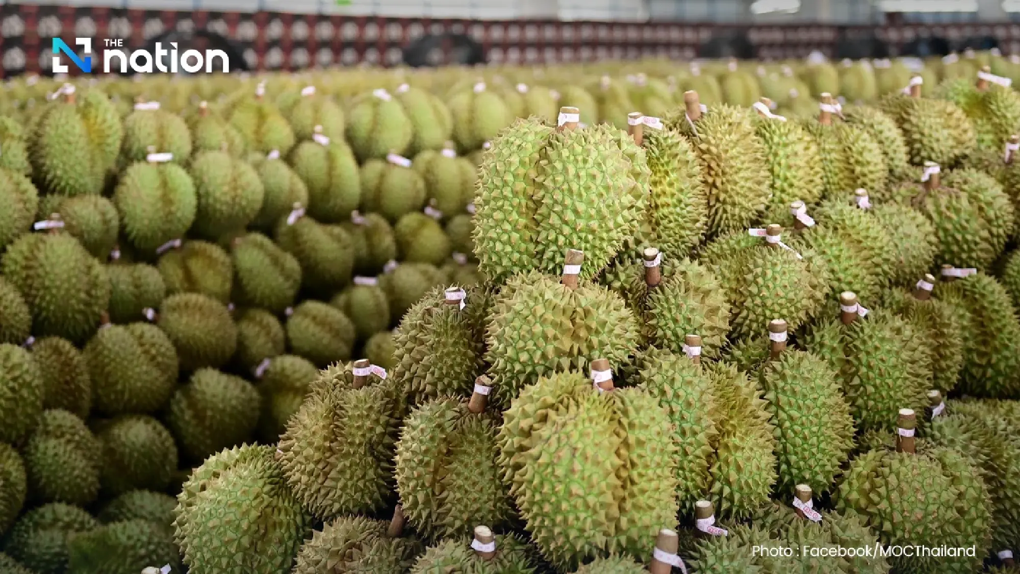 Commerce Ministry defends 100-baht durian live sale after farmer backlash