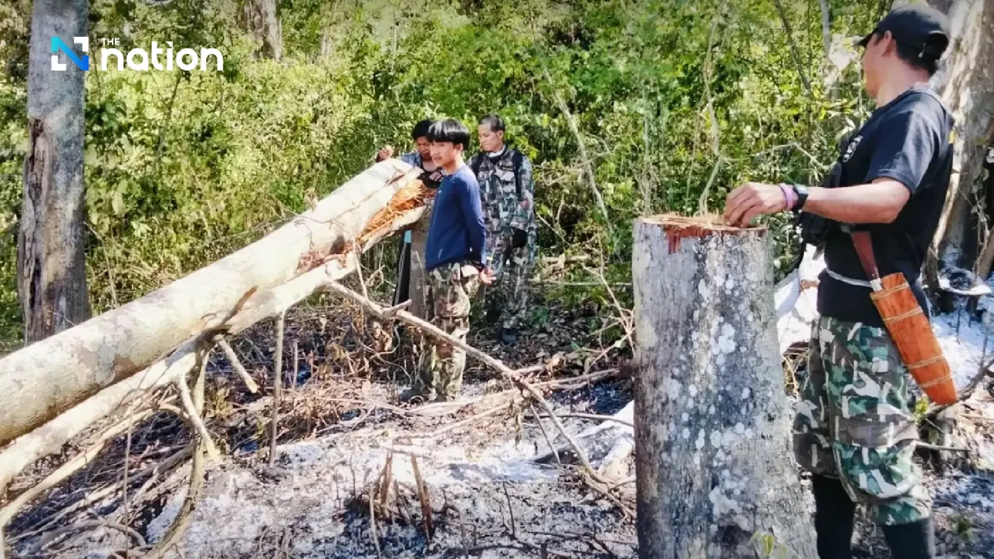 Kaeng Krachan wildfire burns 1,700 rai as officials hunt forest invaders
