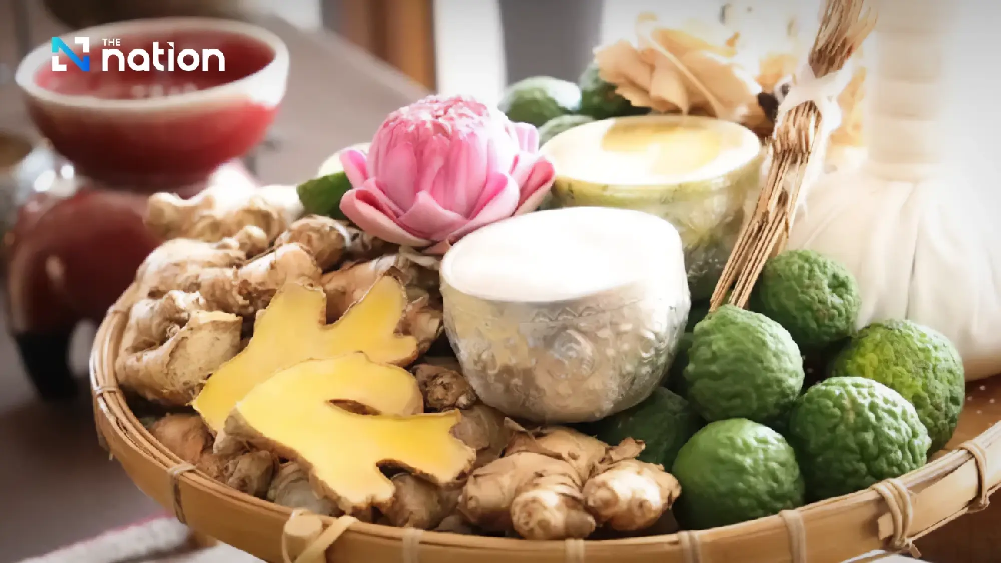 DTAM launches 450-hour ‘Pho-Lanna’ Thai massage course to push global wellness