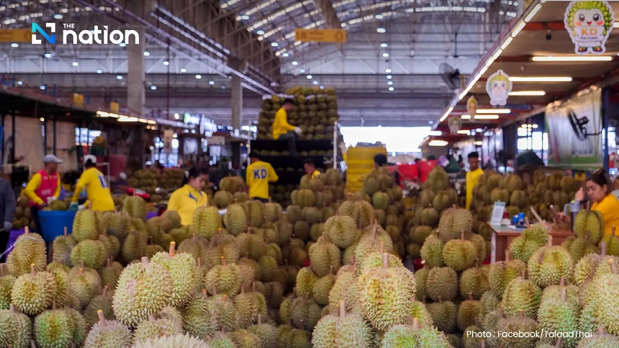 Thailand’s Durian Drama: Can the State Save the King of Fruit?