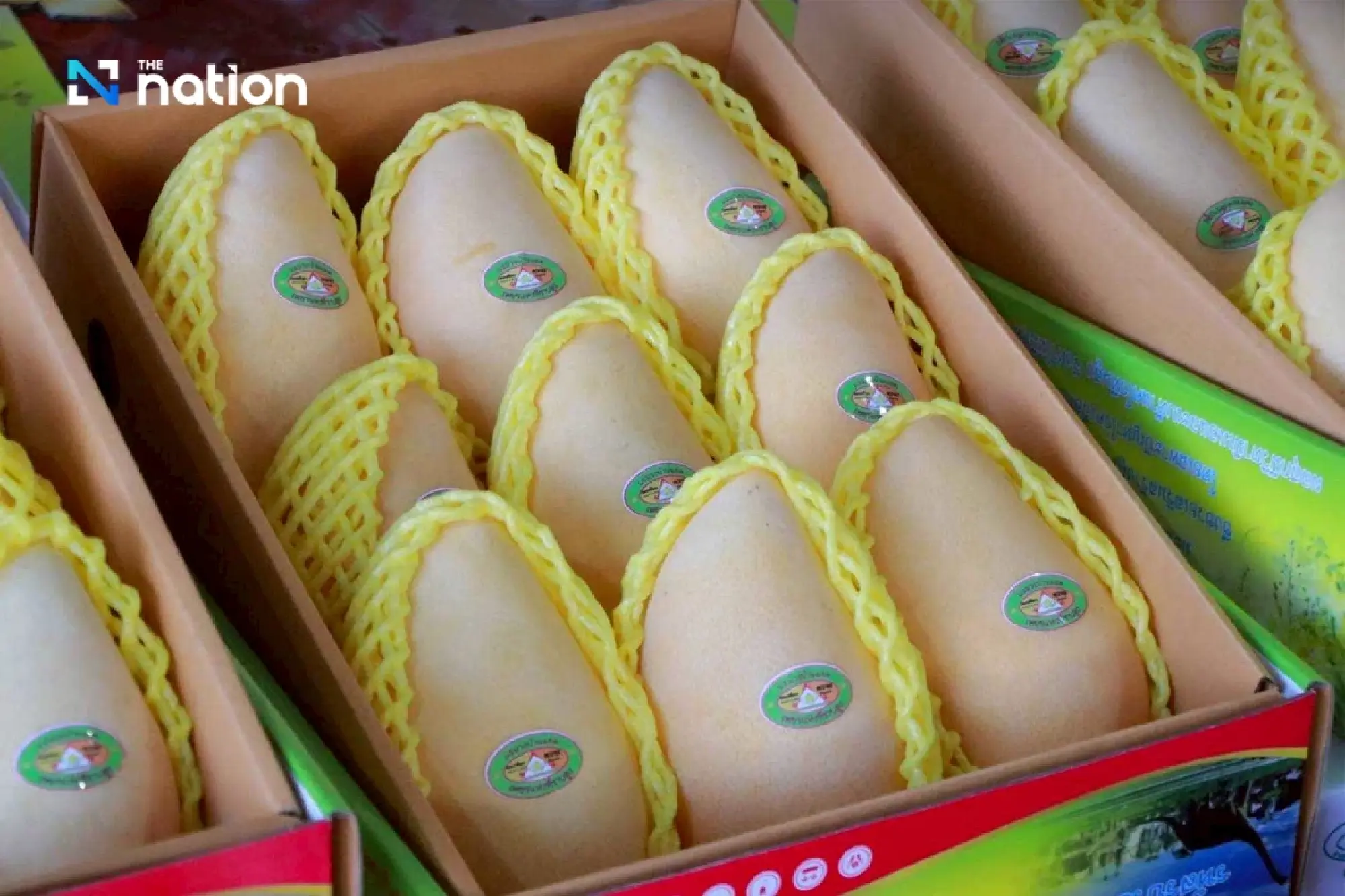 Khon Kaen GI mango takes the spotlight on Nadech-Yaya wedding menu