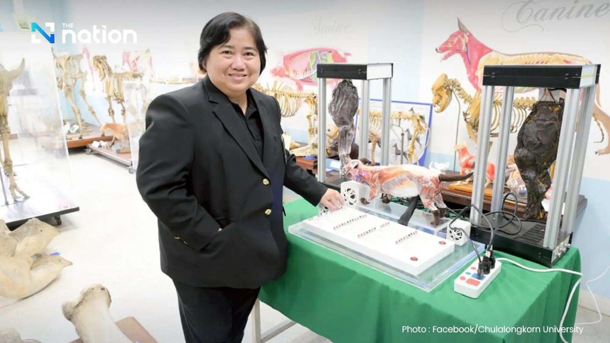 Chula Veterinary Faculty wins five international awards for interactive canine muscle model