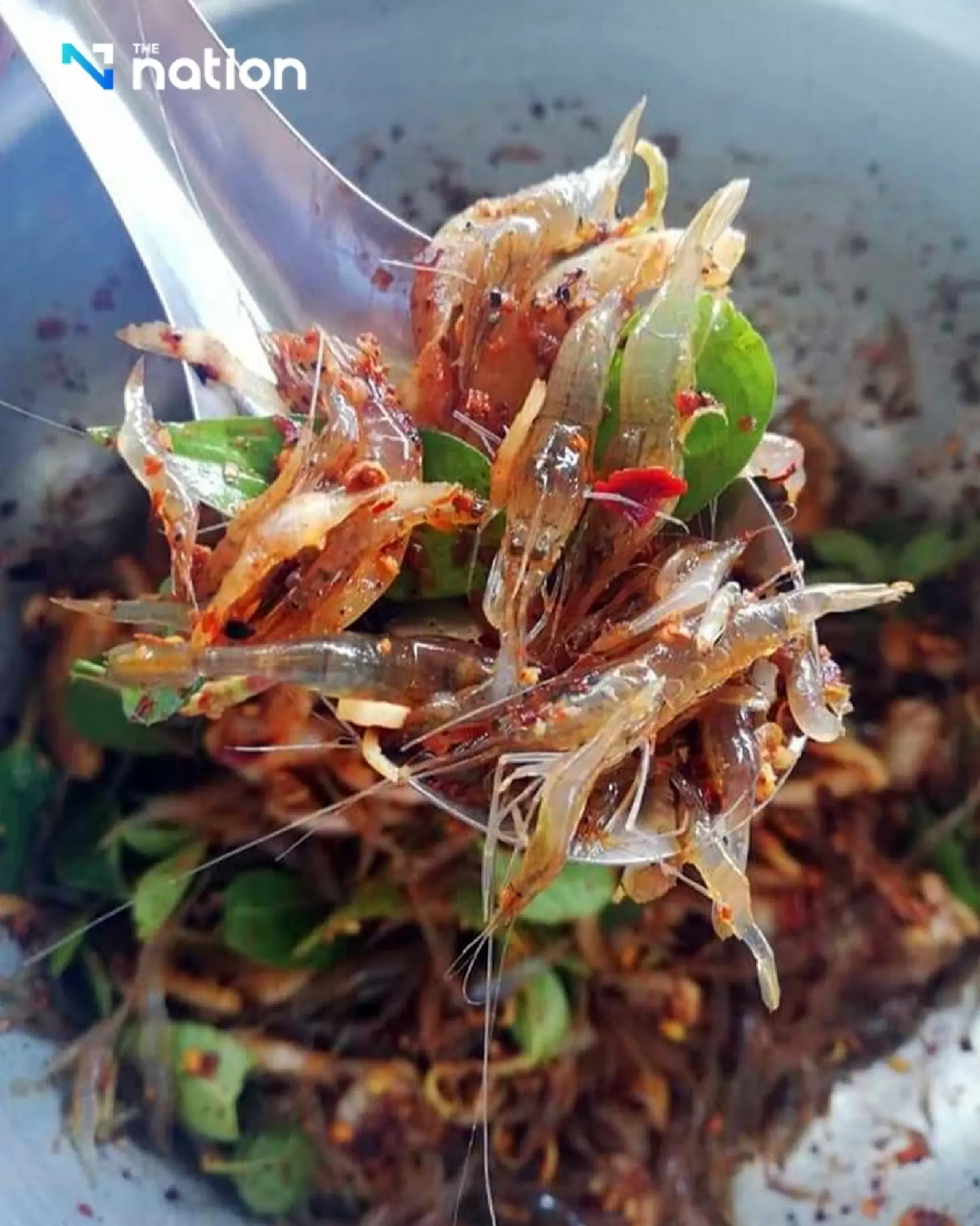 Hepatitis A cases could rise in rainy season, virologist warns