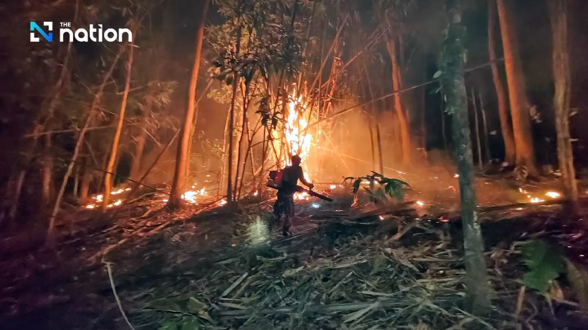 Thailand’s PCD orders burn ban in 17 northern provinces over PM2.5