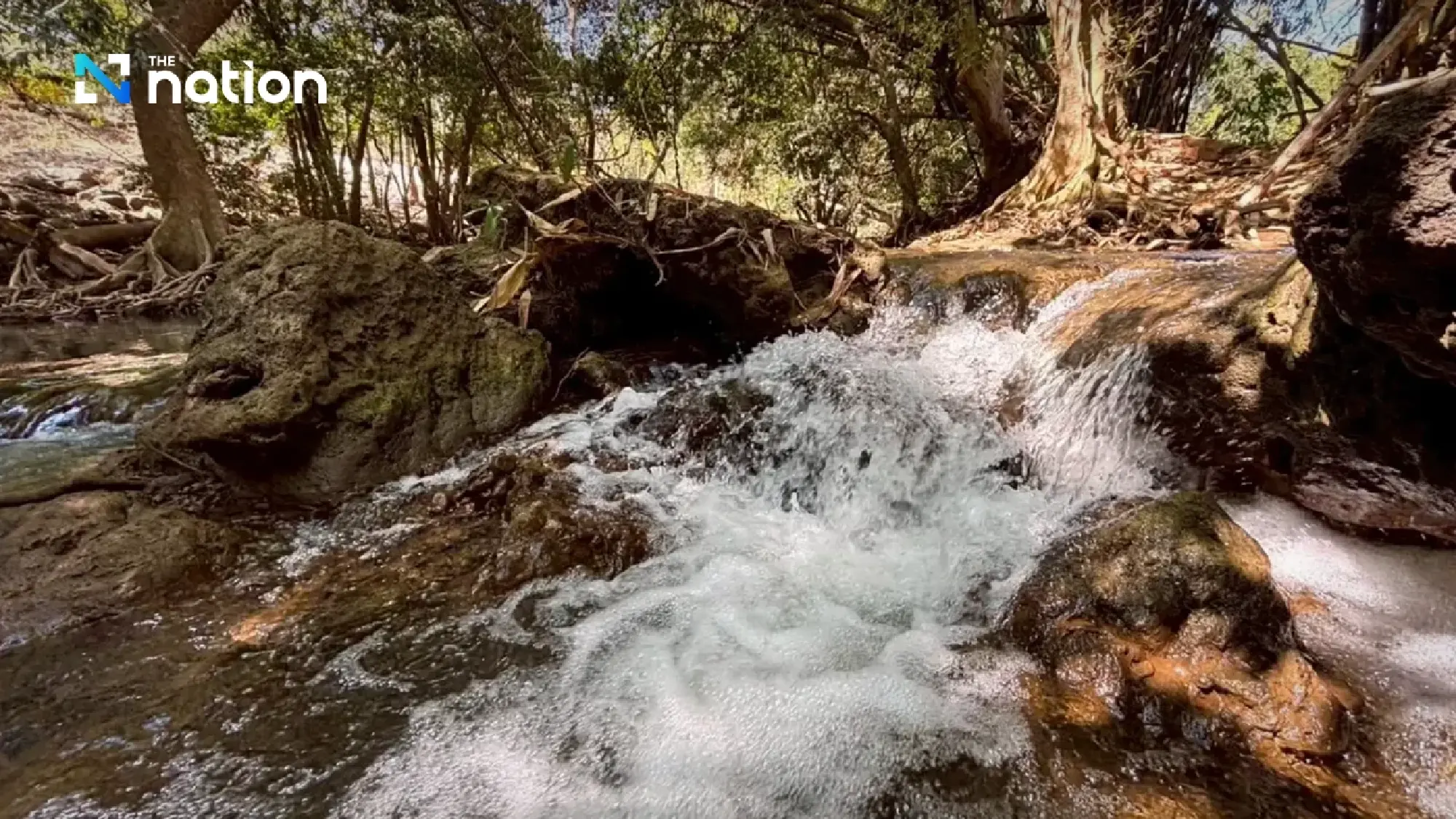 Cool Waters and Ancient Roots: Discover the ‘Unseen’ Beauty of Loei’s Tha Sawan Waterfall