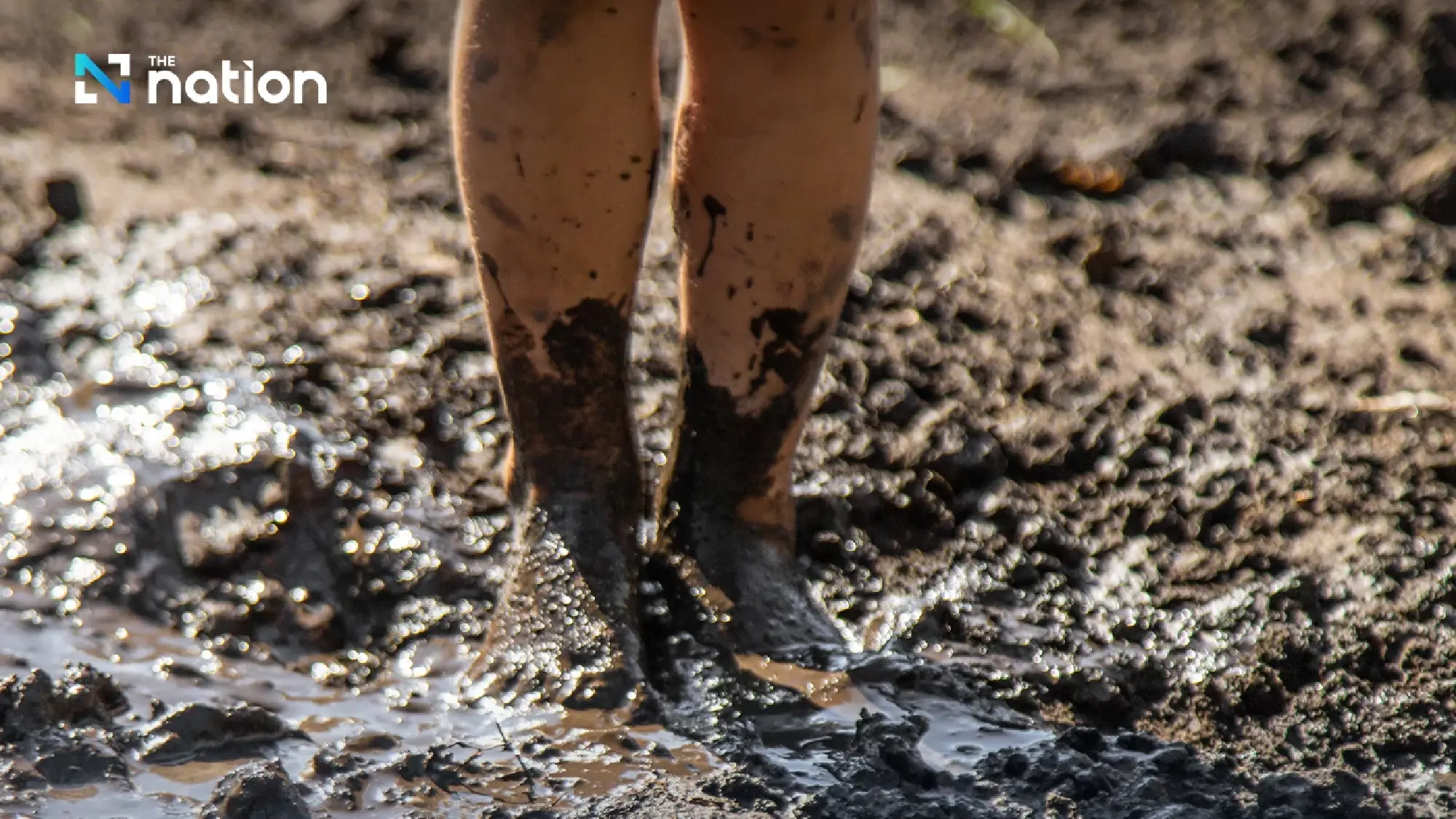 Thailand warns farmers over worsening melioidosis threat