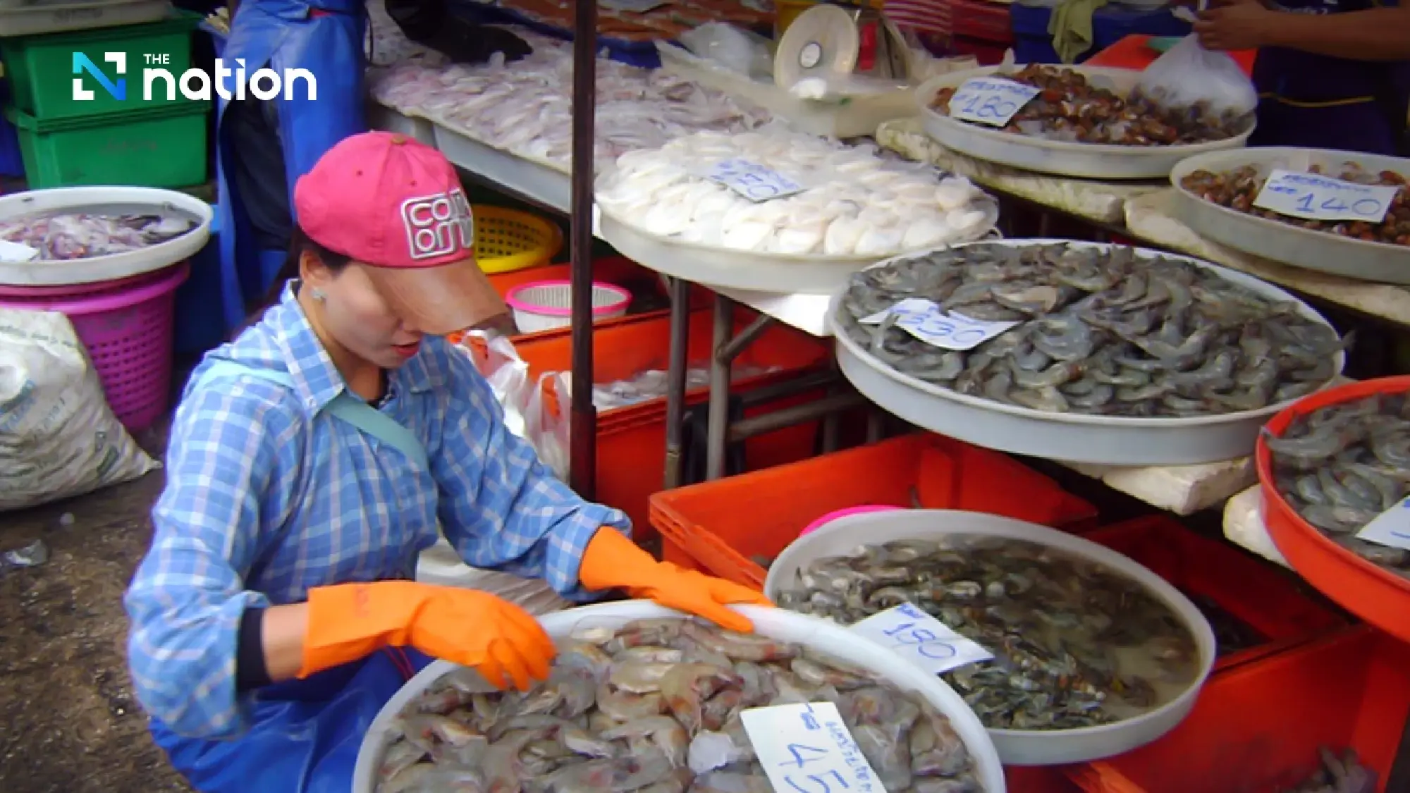 ASEAN fishing crisis: fish stocks down up to 95% as overfishing and illegal catch outpace recovery