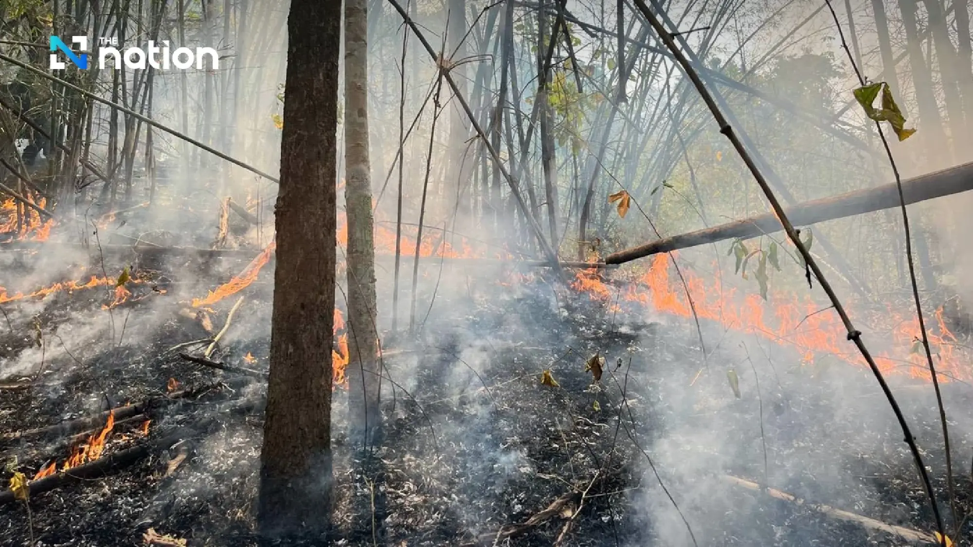Chiang Mai records 83 hotspots as haze persists; Doi Tao remains most concerning