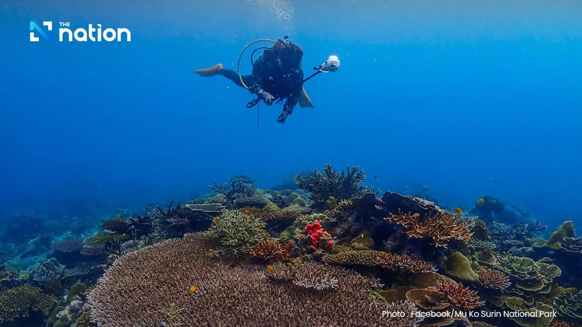 TAT rolls out Hat Yai campaign to revive flood-hit South