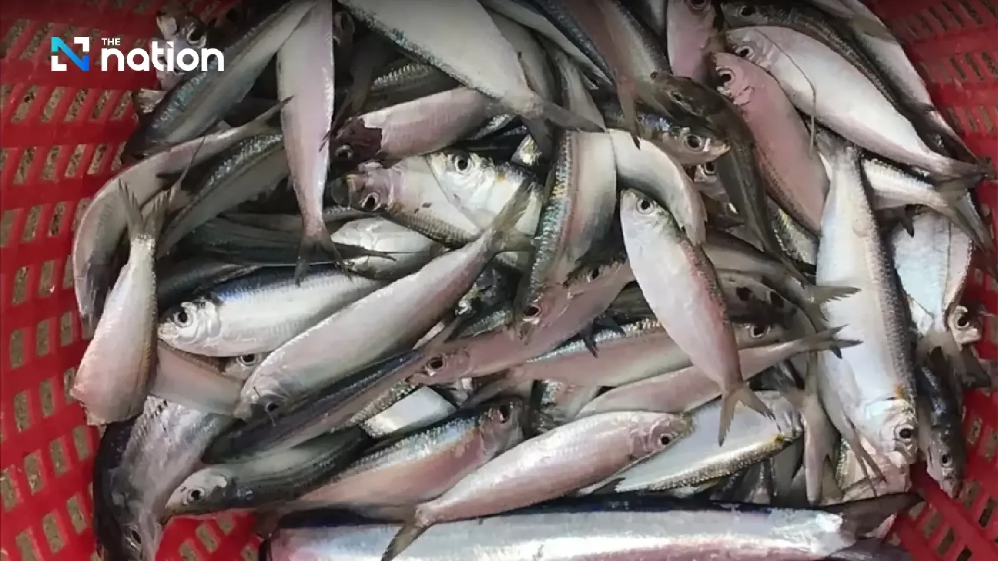 Fuel costs may ground 70% of Thai fishing boats after Songkran