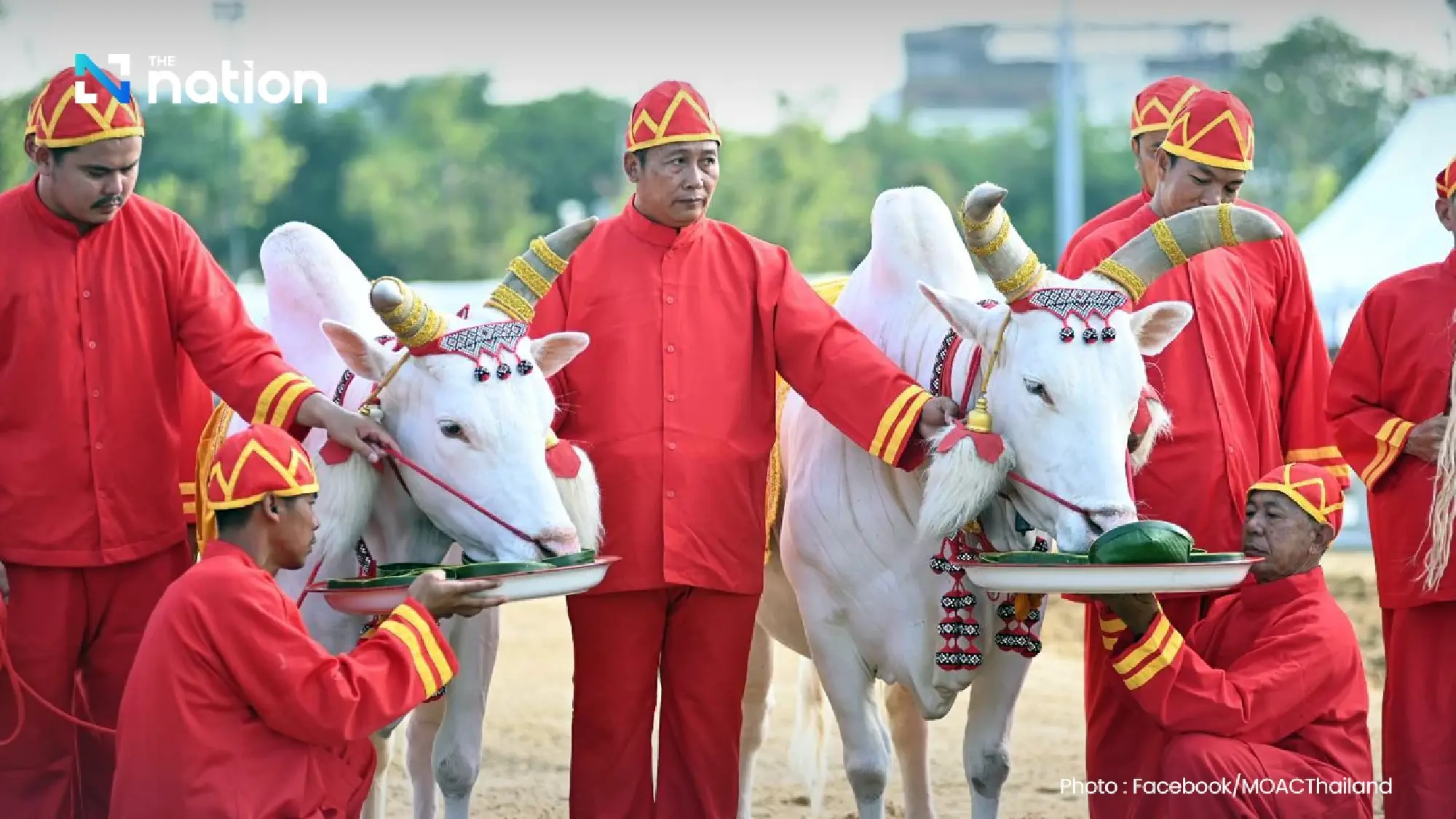 Agriculture Ministry holds first rehearsal for 2026 Royal Ploughing Ceremony at Sanam Luang