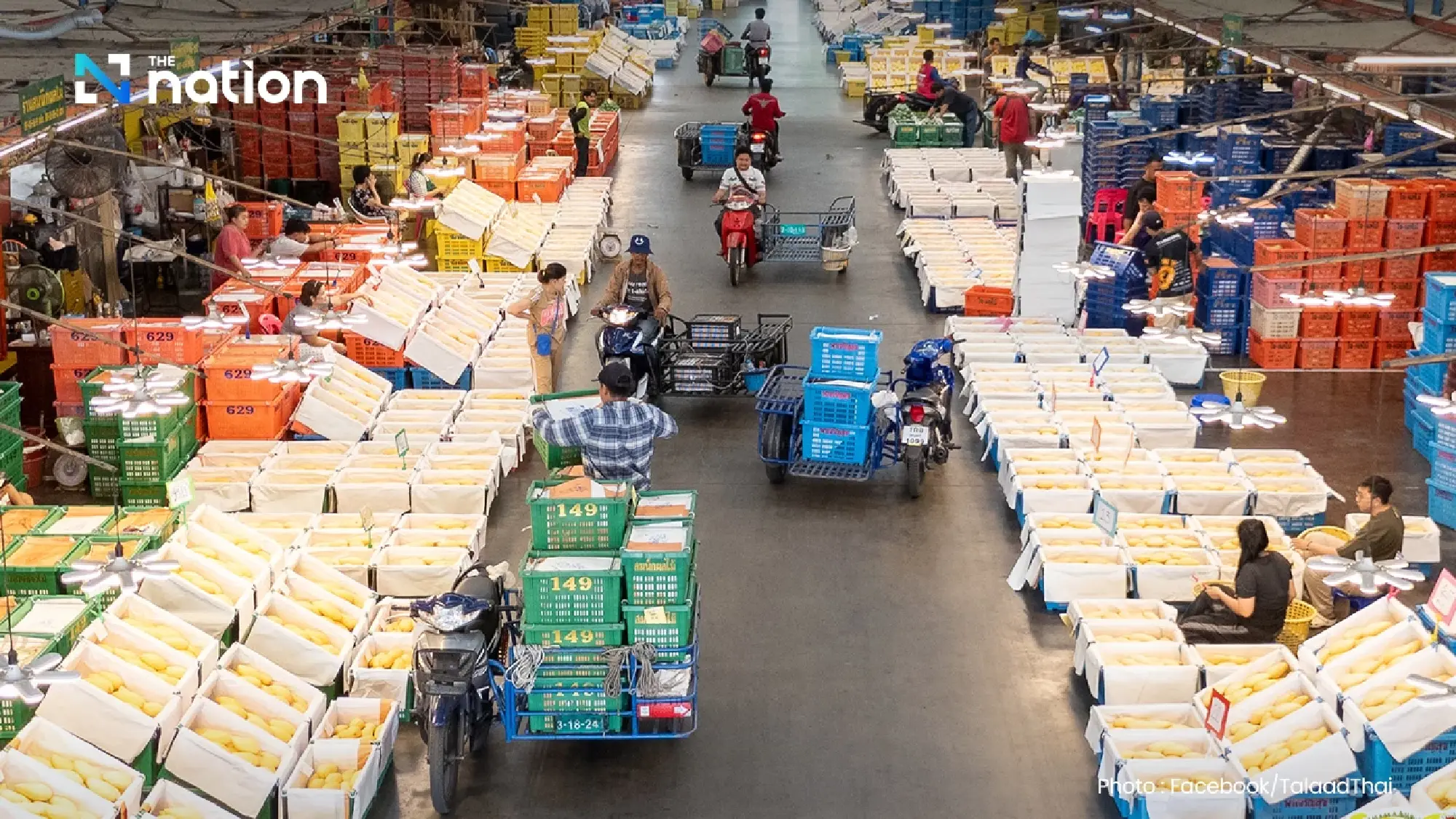 Thailand’s Durian Drama: Can the State Save the King of Fruit?