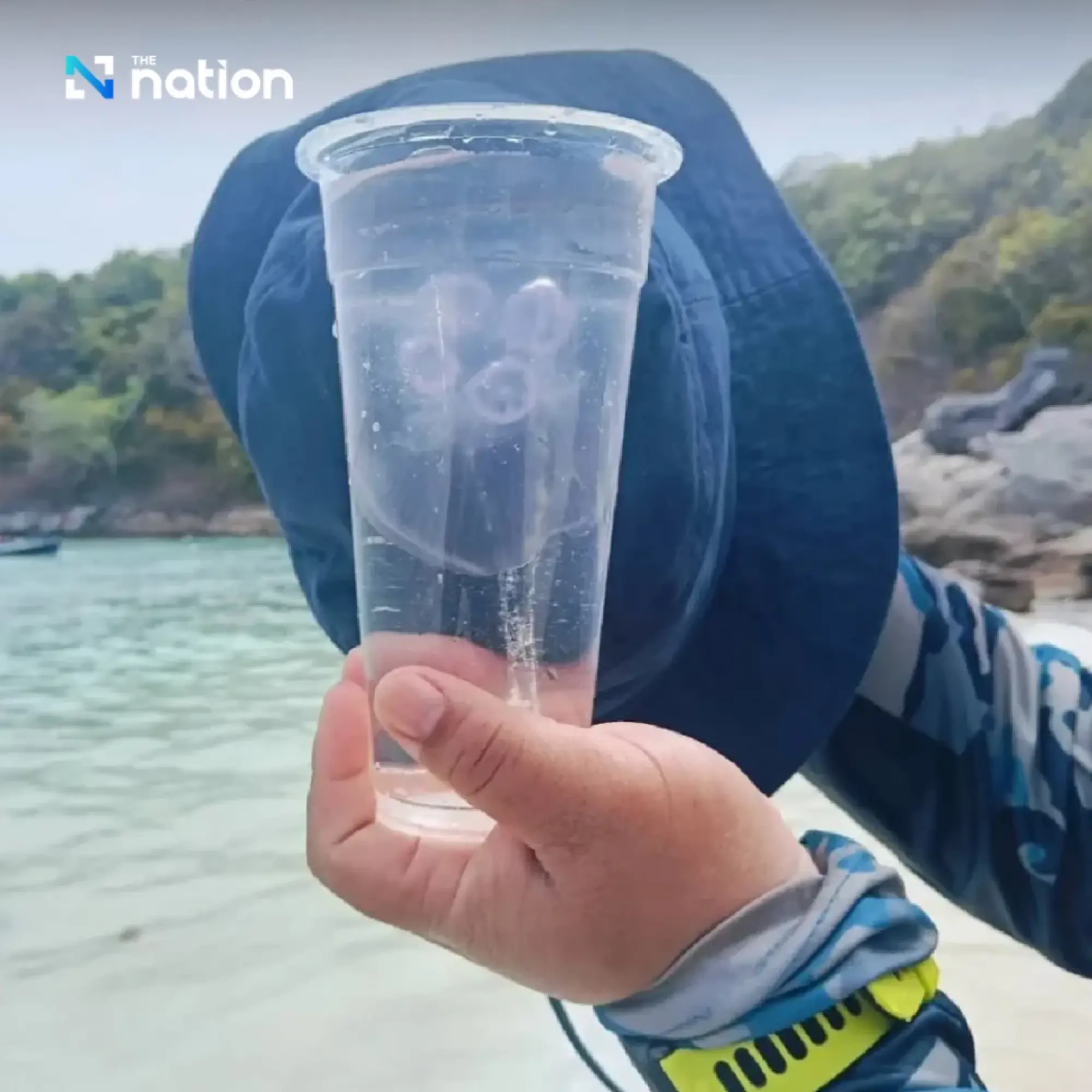 Moon jellyfish wash ashore at Phuket’s Racha Yai, tourists warned