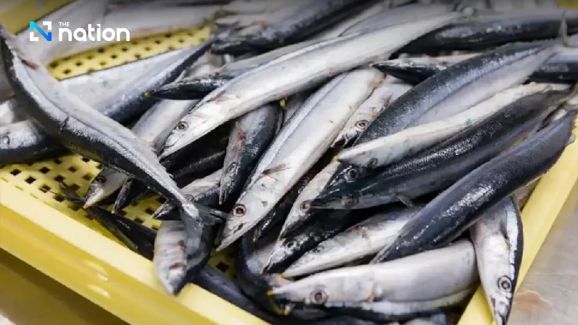 Fuel costs may ground 70% of Thai fishing boats after Songkran