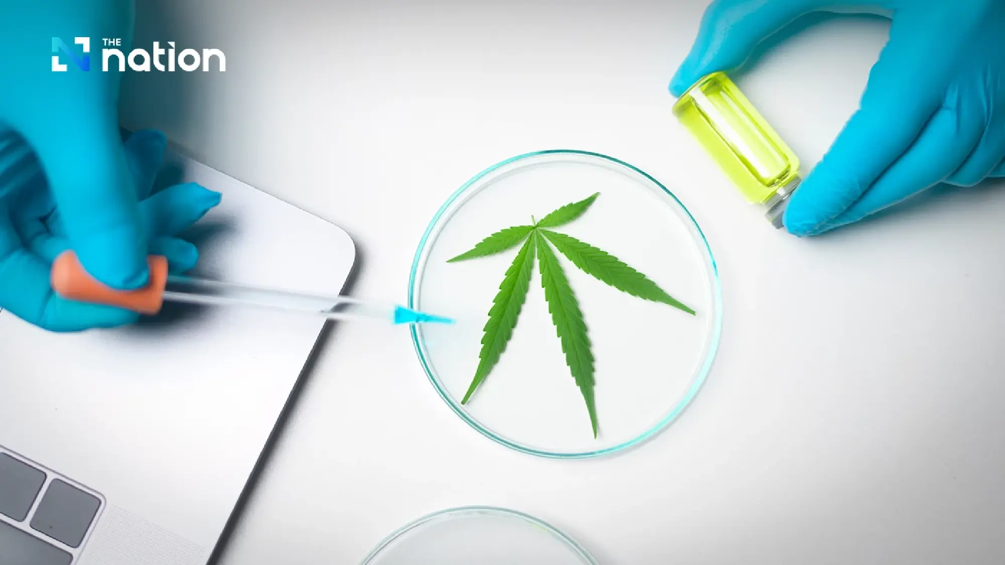 New cannabis-hemp extract rules take effect, limiting use to four purposes