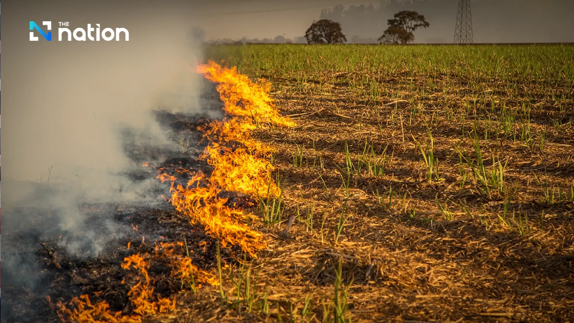 Suriya warns farm burners of legal action, aid ban